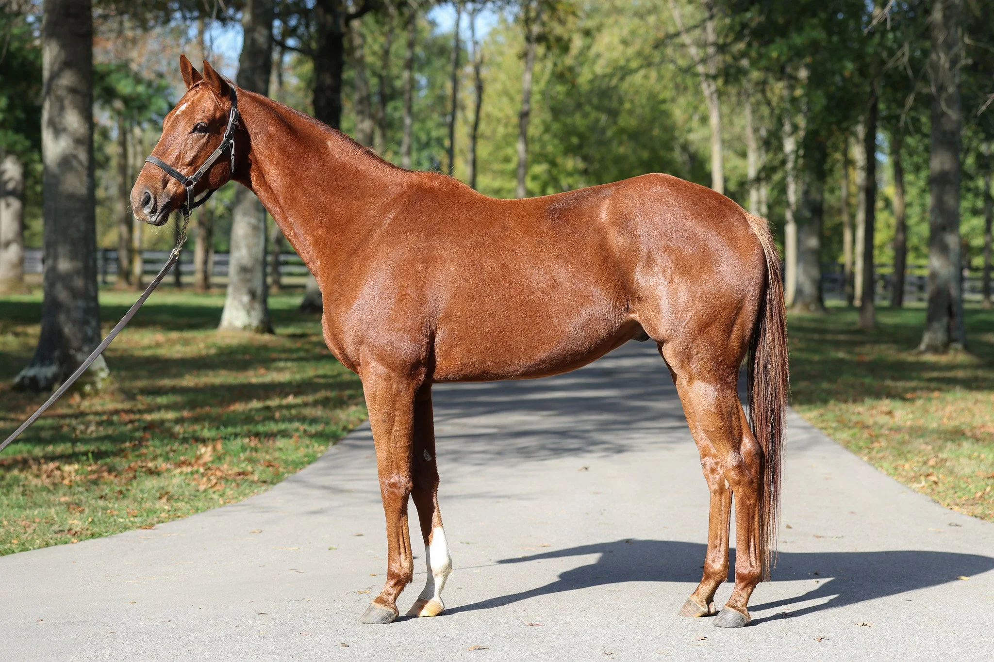 My Lil Dude 10.21.25.jpg