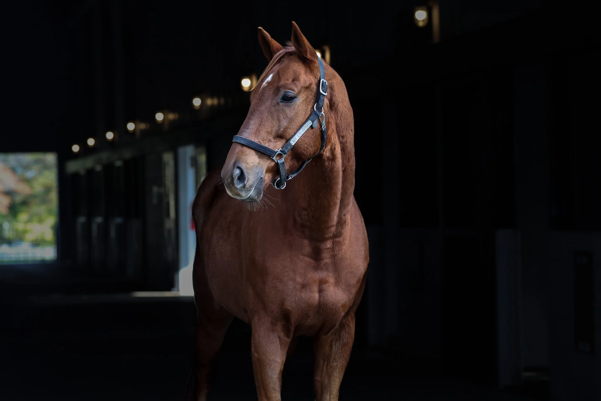 My Lil Dude HS 10.21.25.jpg