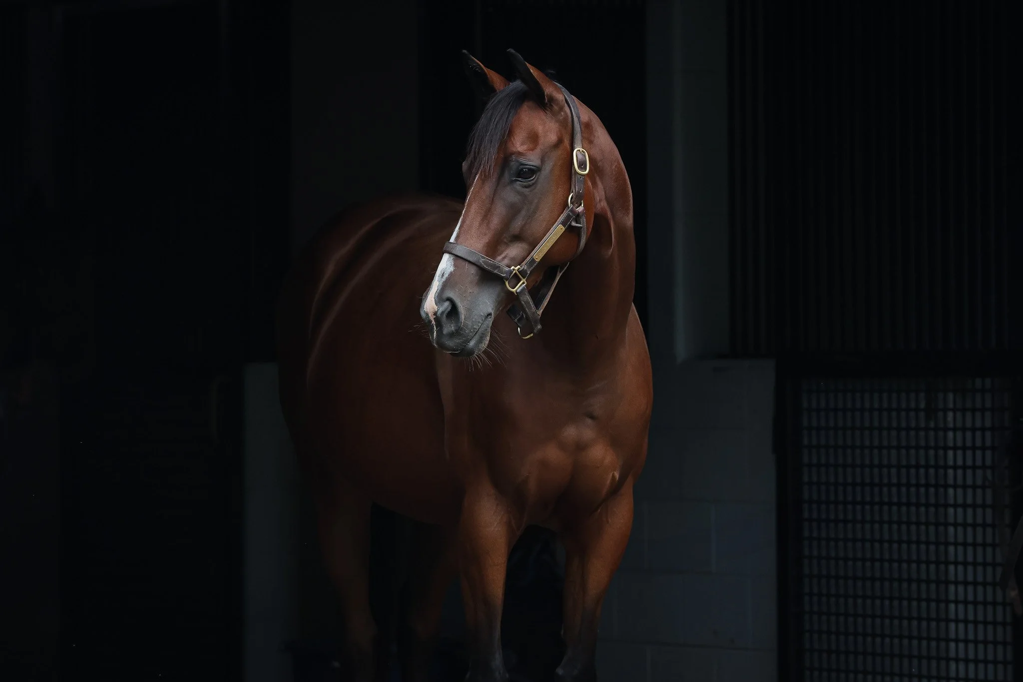 Quick Romance HS 8.21.25.jpg