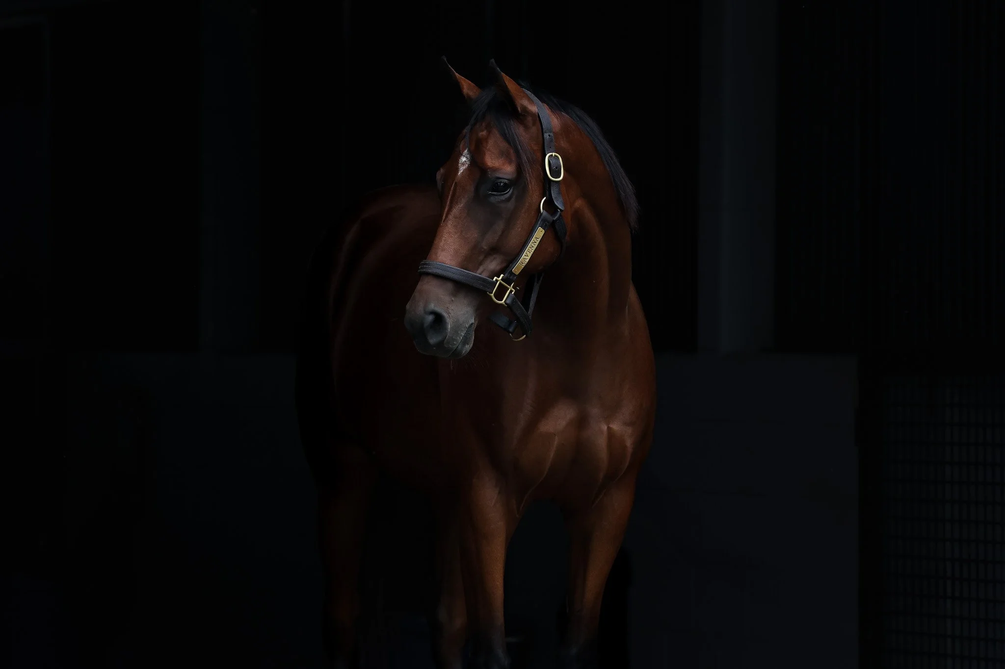 Ravenna HS 8.21.25.jpg