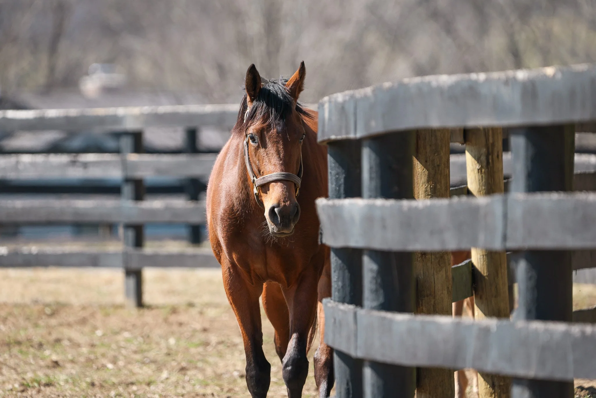 Ravenna PP 3.11.25  2..jpg