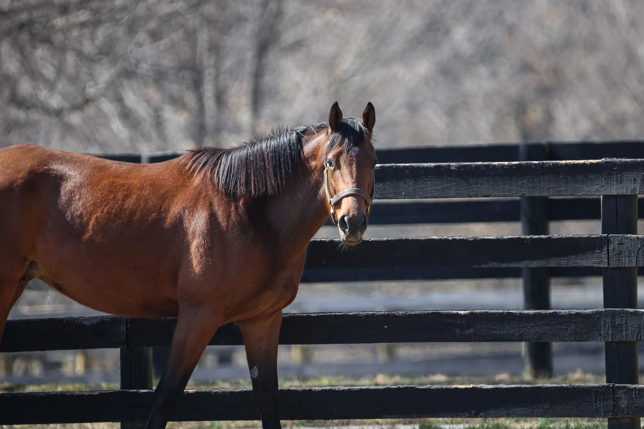 Ravenna PP 3.11.25.jpg