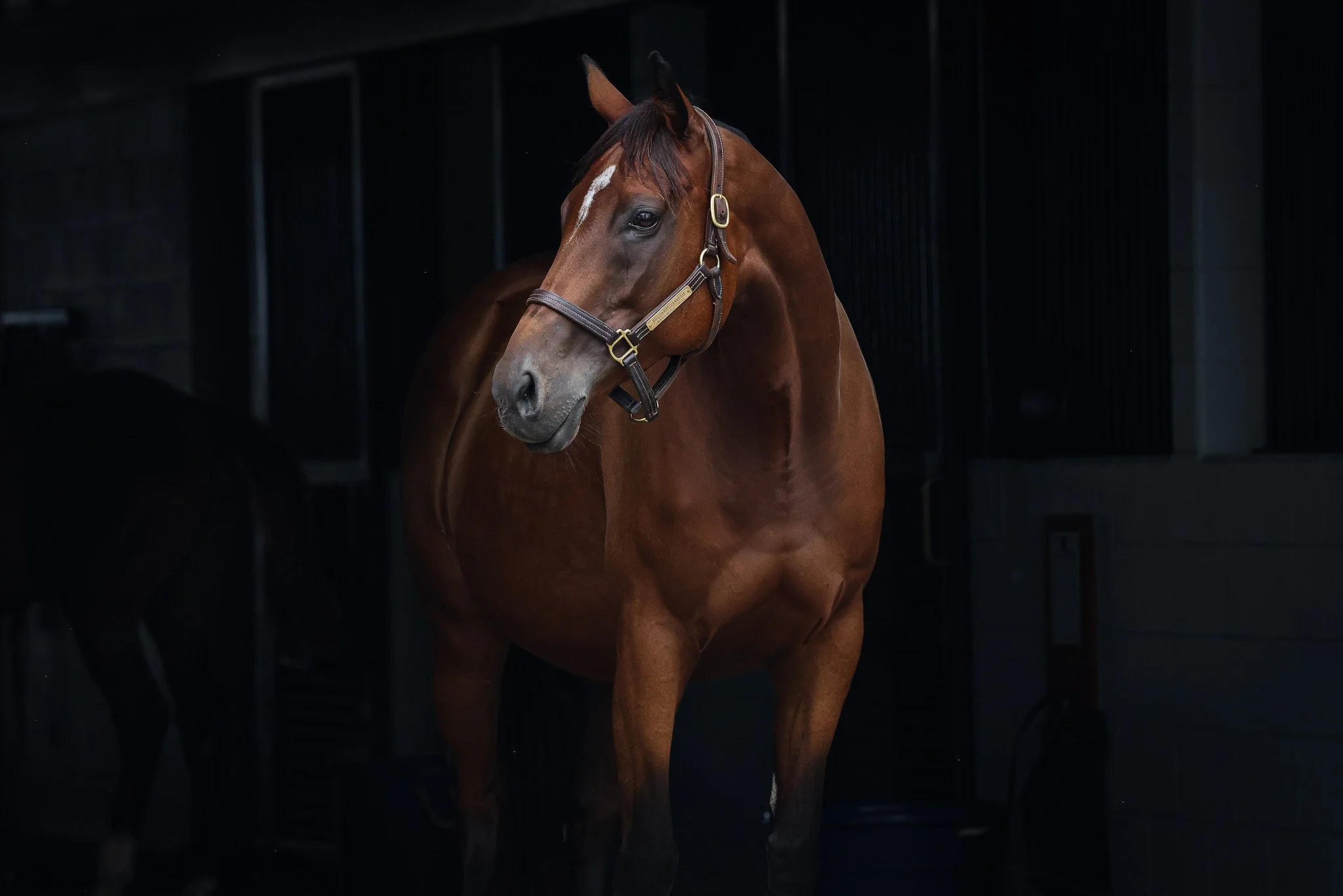 Russiarussiarussia HS 8.21.25.jpg