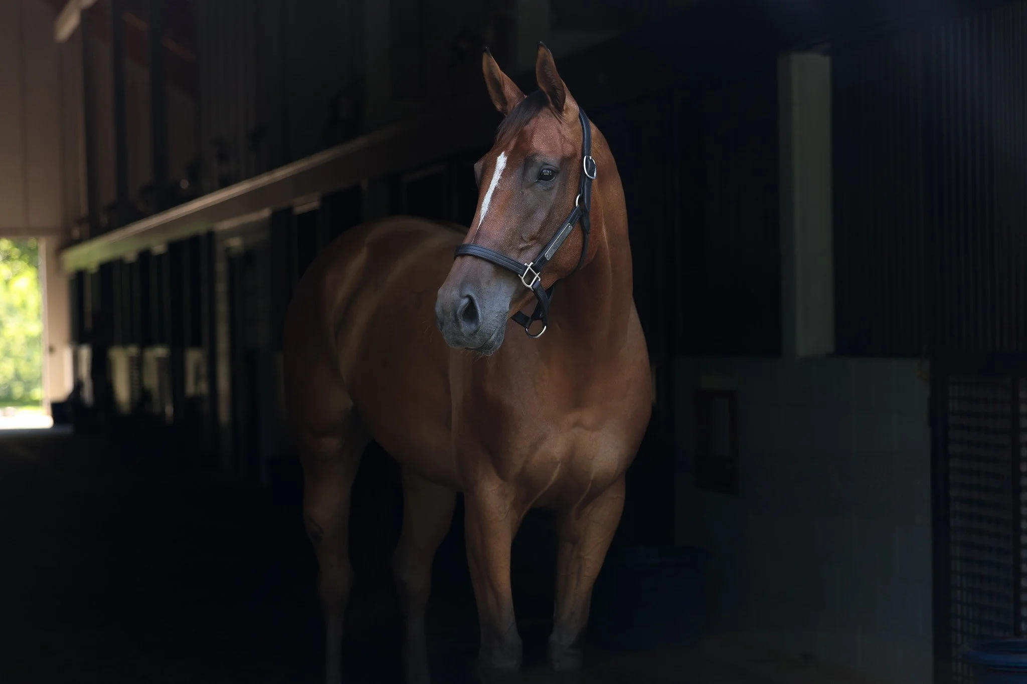 Shiloh's Mistress HS 7.11.25 2.jpg