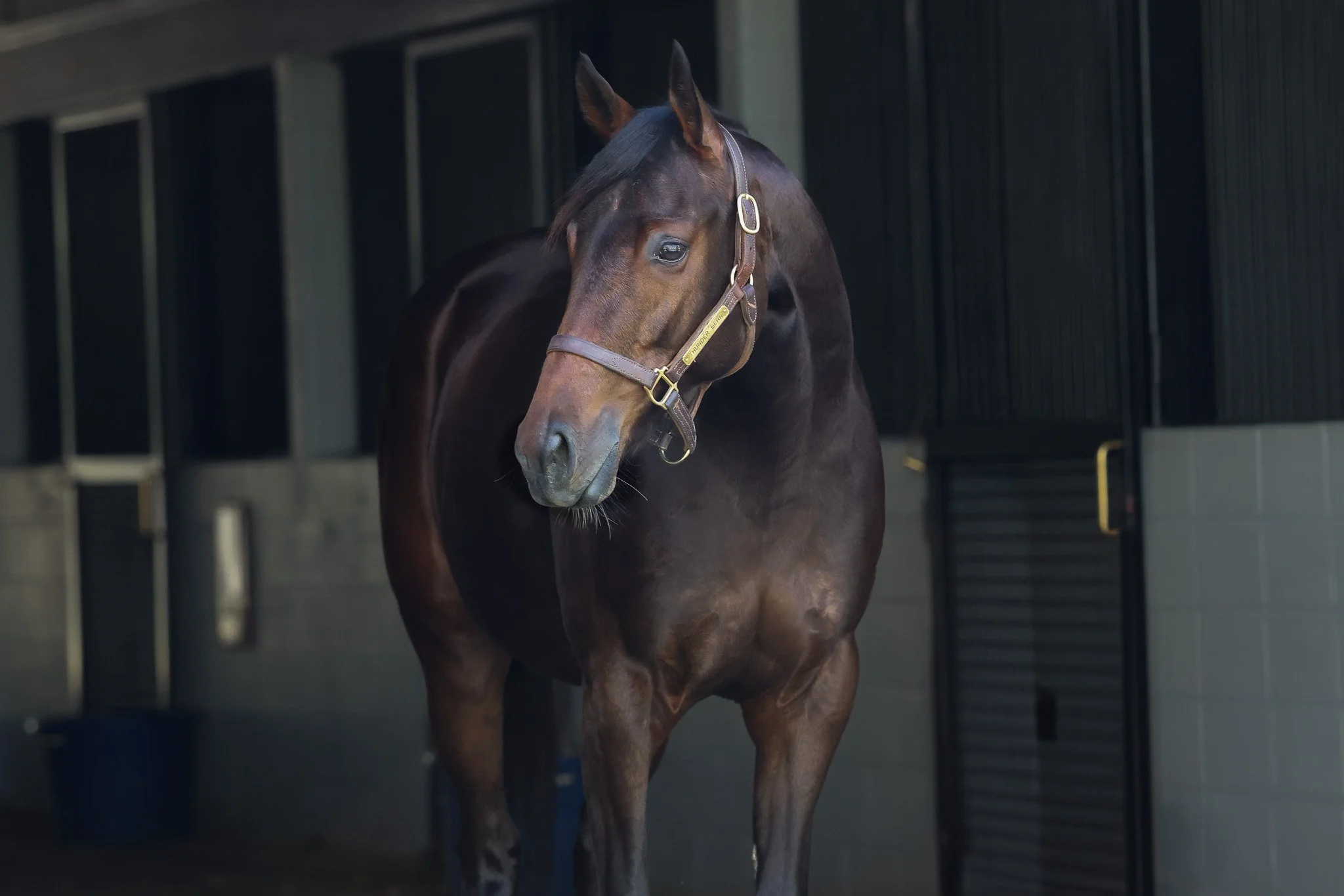 Thunder Bern HS2 4.23.25.jpg