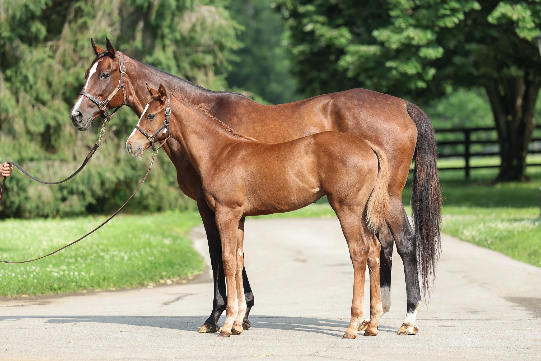 25 Touching Beauty 6.10.25  .jpg