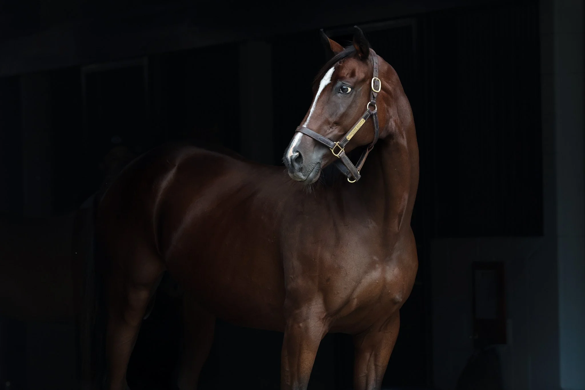 Touching Beauty HS 8.21.25. 2.jpg