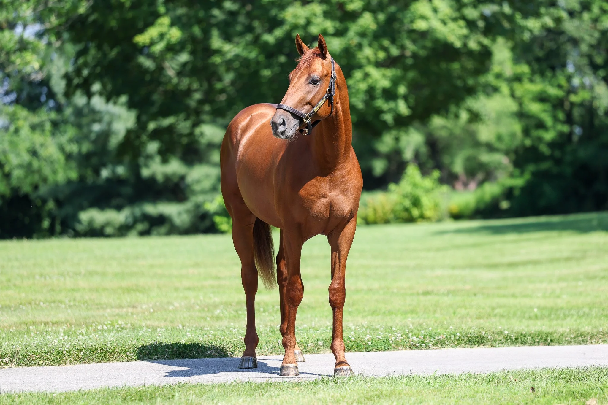 Volendam HS 6.27.25. 2.jpg