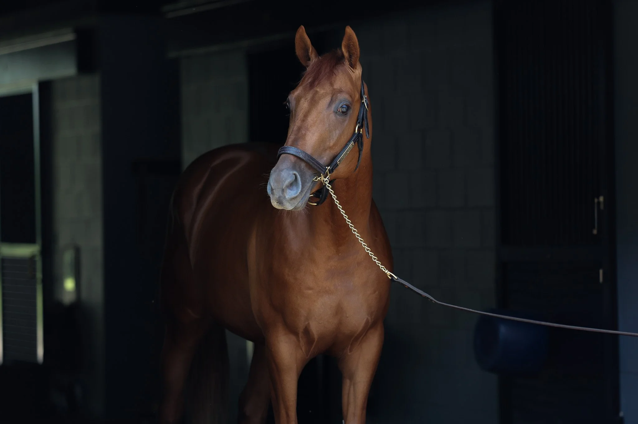 Volendam HS 6.27.25.jpg