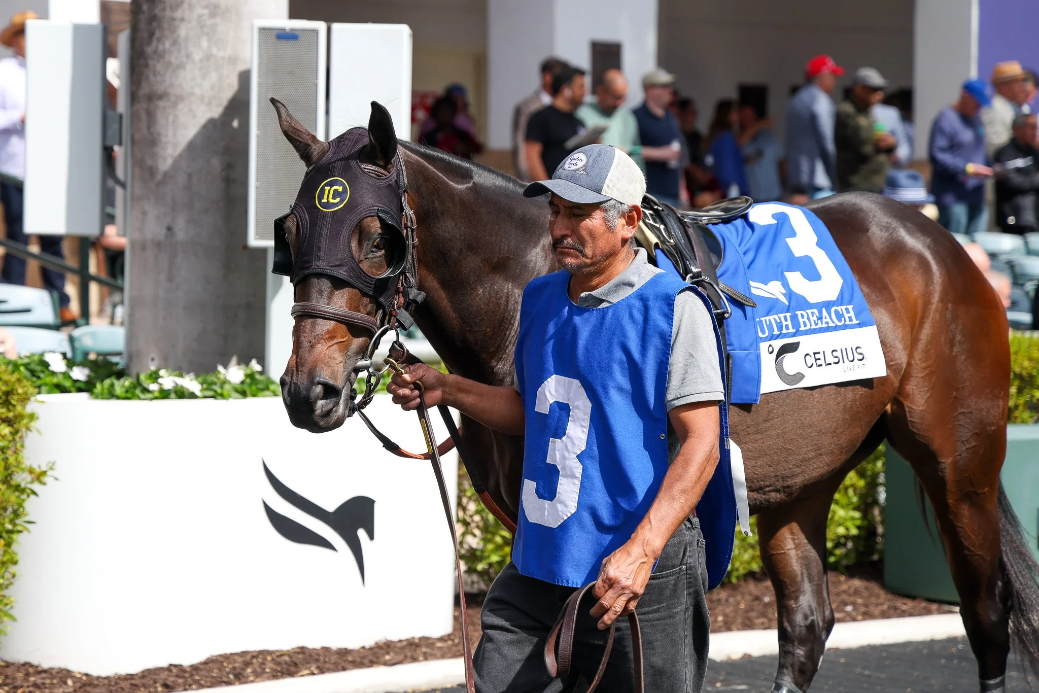  Jan 2025 Gulfstream Park 