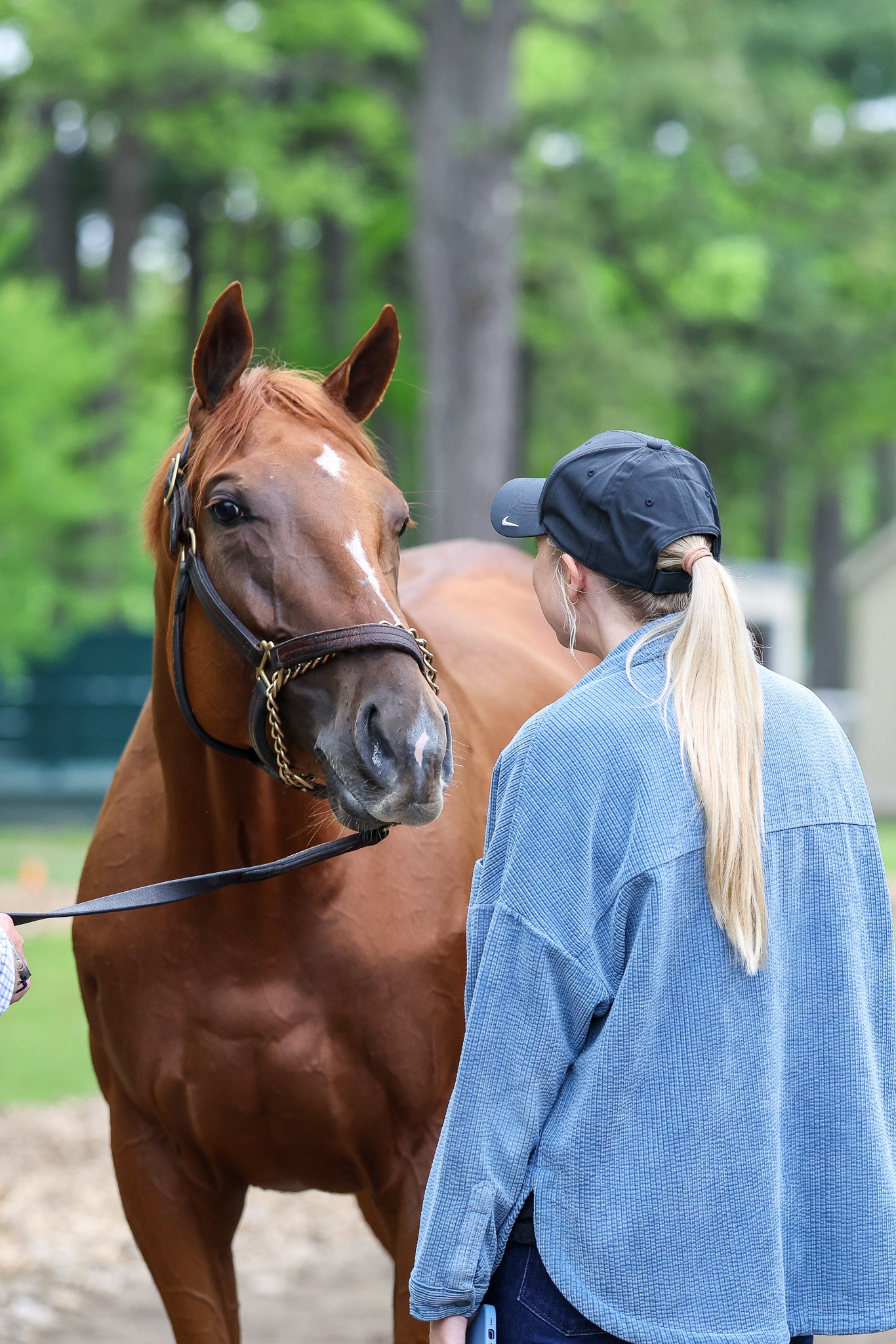  Summer 2025 in Saratoga 