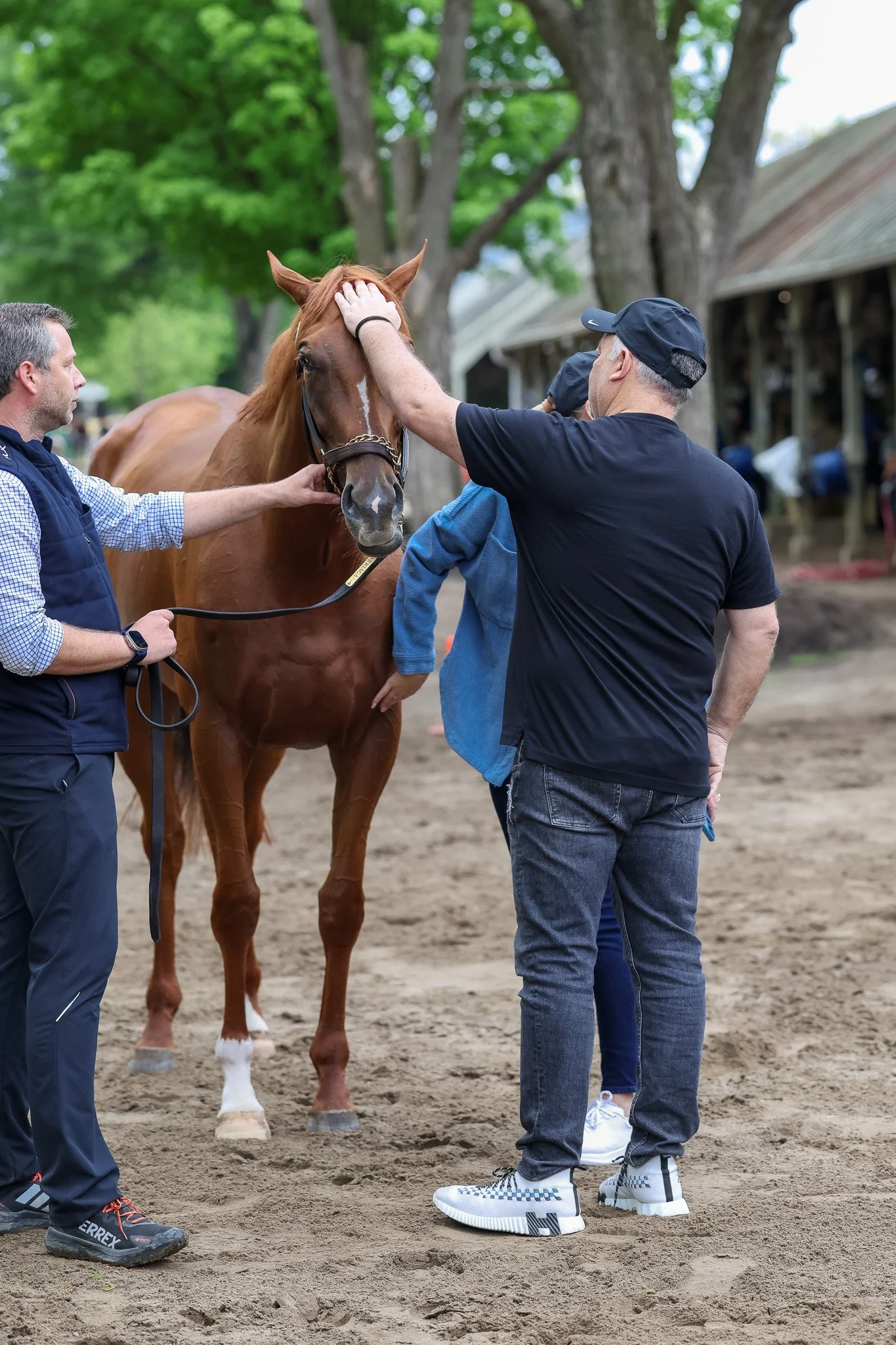  Summer 2025 in Saratoga 