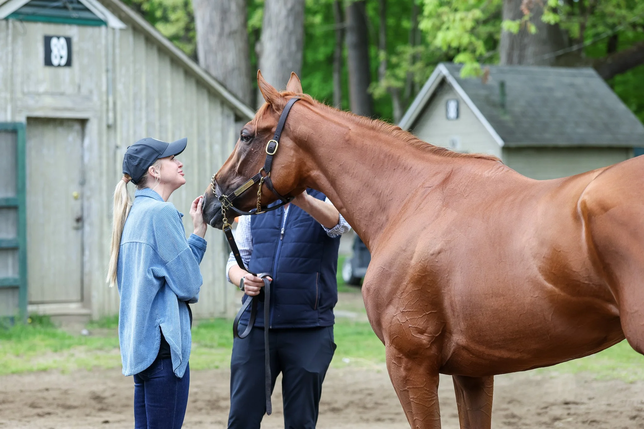  Summer 2025 in Saratoga 