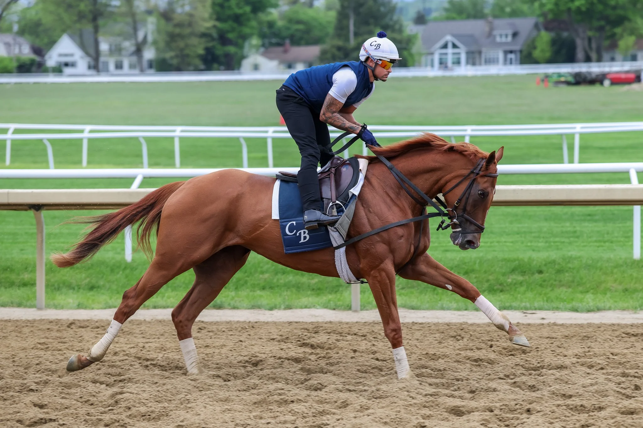  Summer 2025 in Saratoga 