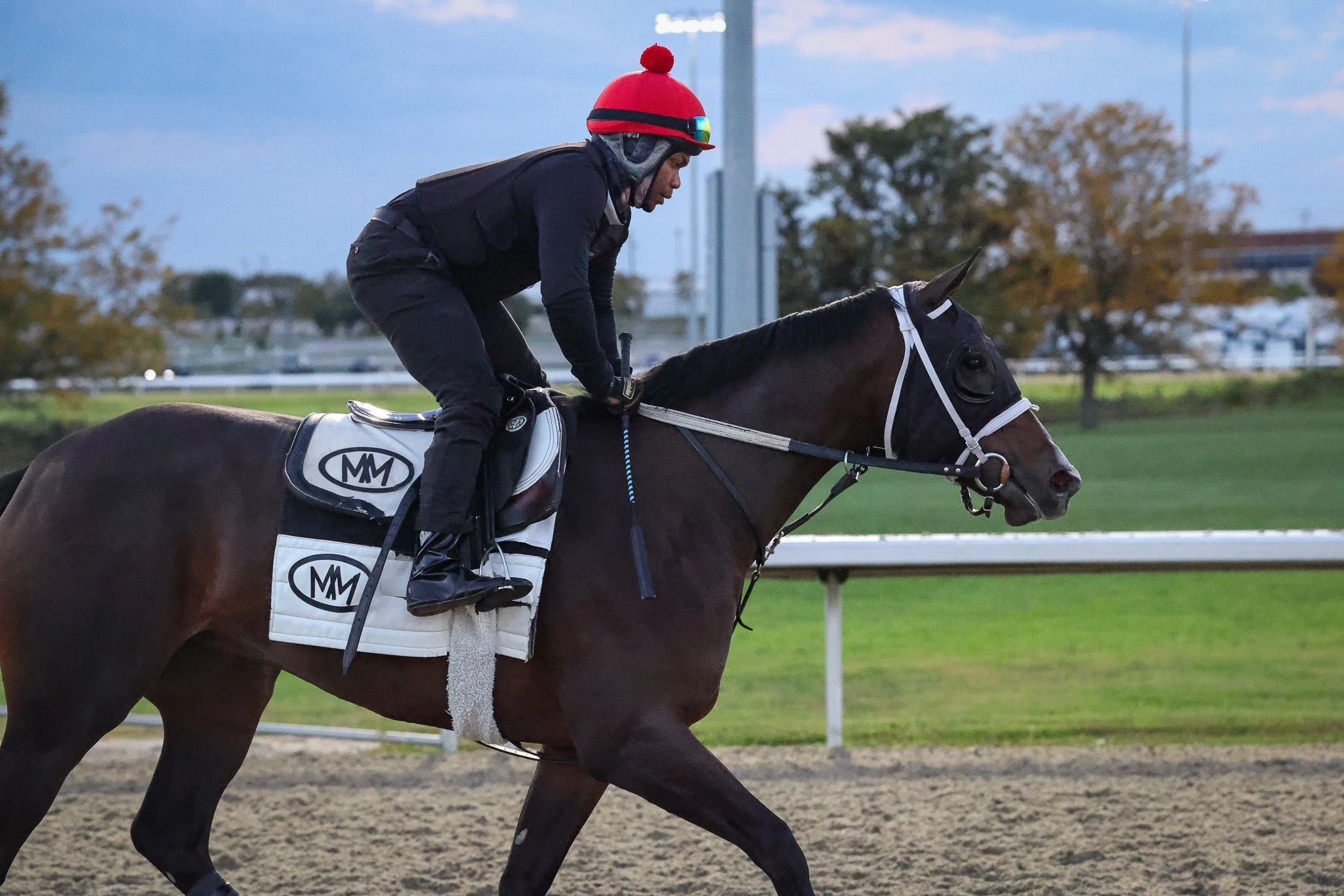 Seeing Stars TR 10.21.25.  3.jpg