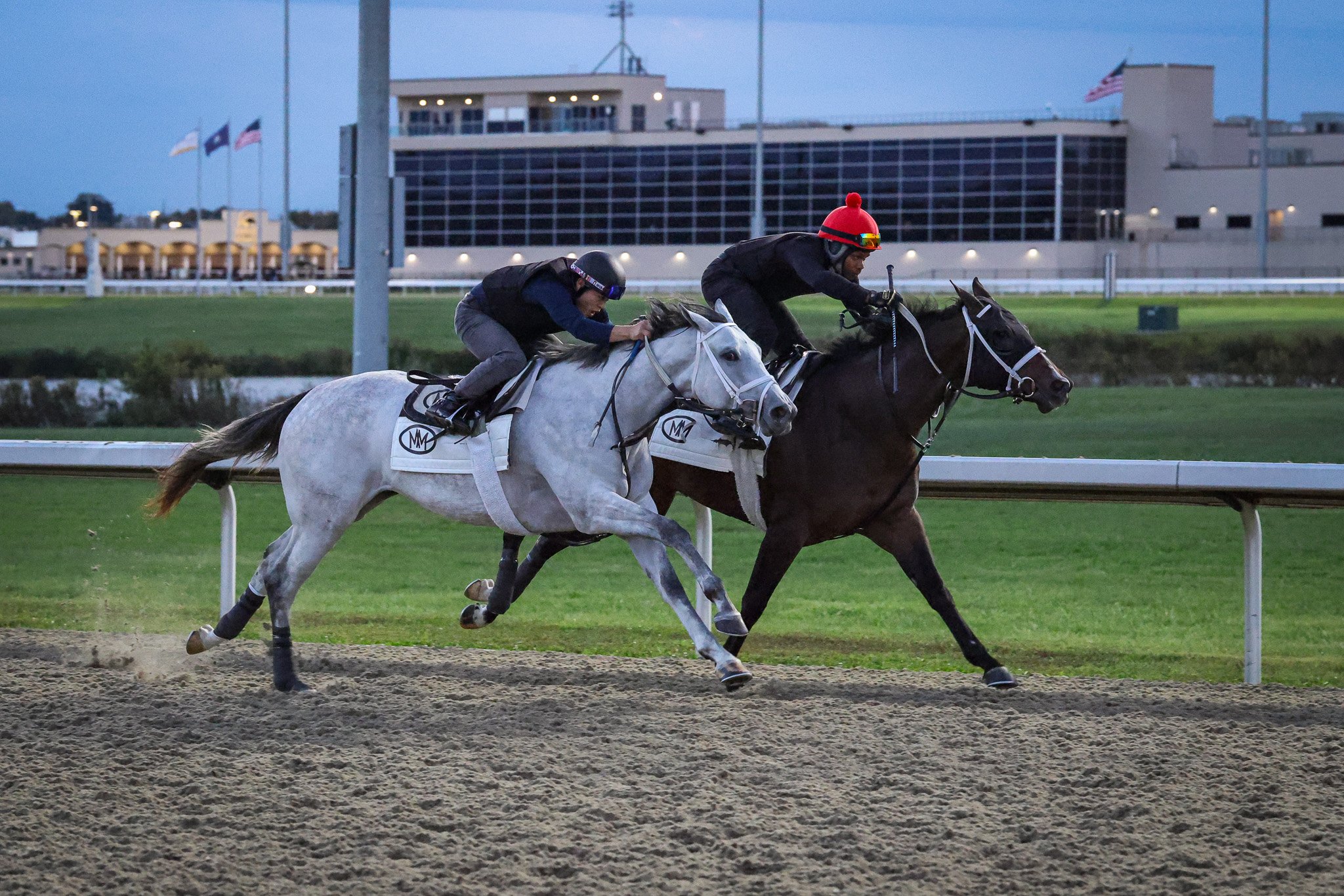 Seeing Stars TR 10.21.25. 2.jpg