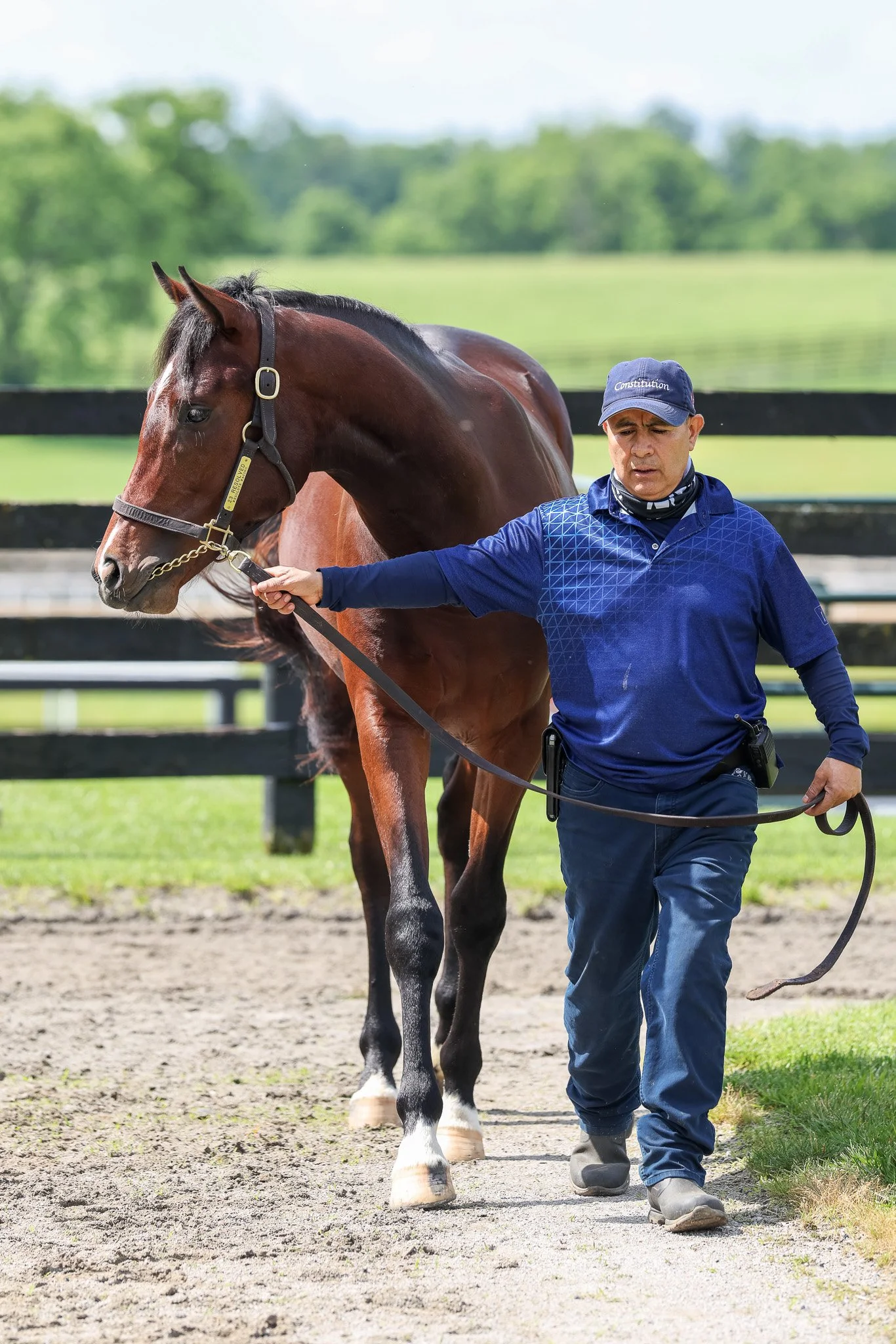 23 Resolved WInstar 5.29.25  2.jpg