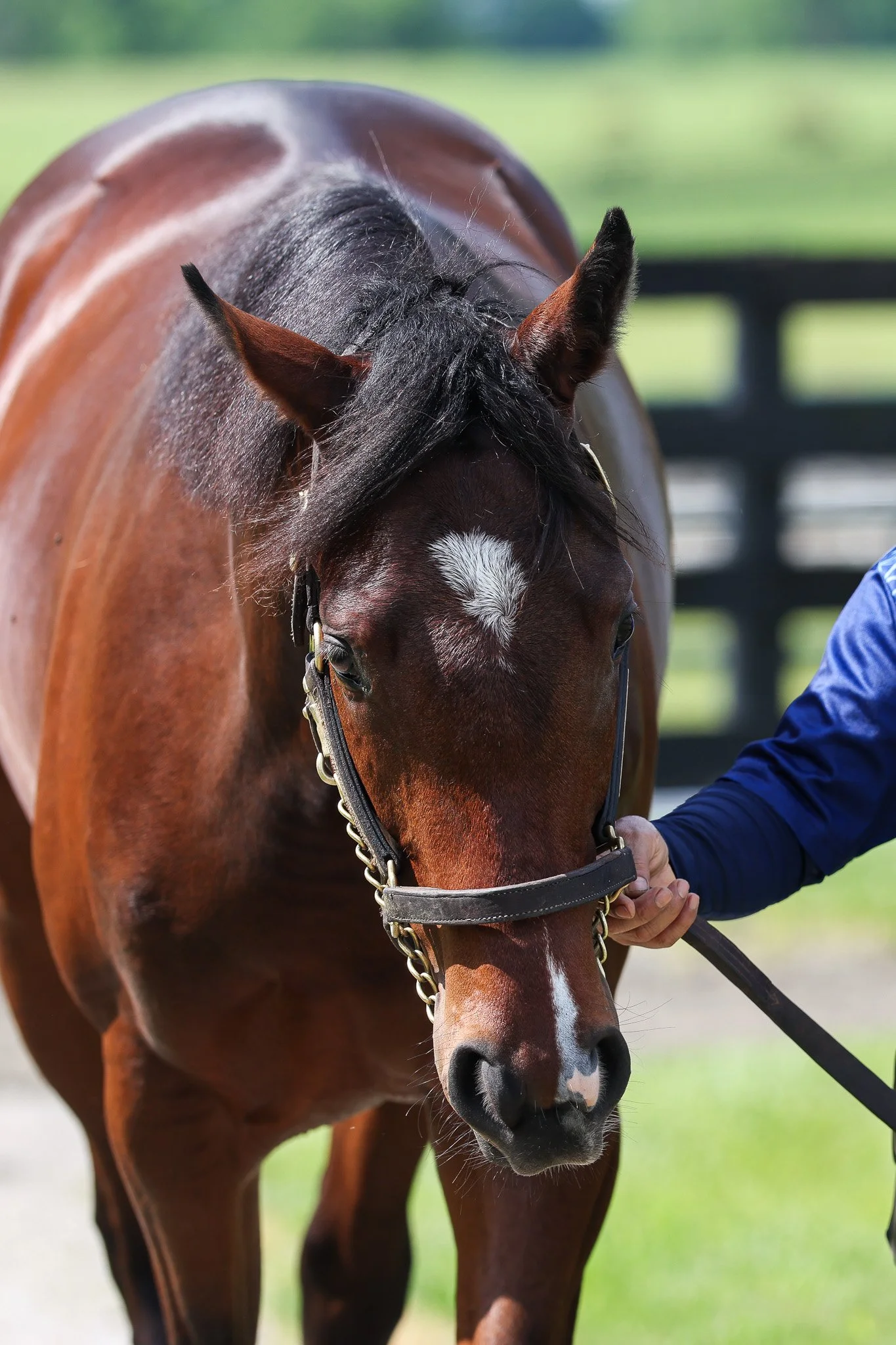 23 Resolved WInstar 5.29.25  3.jpg