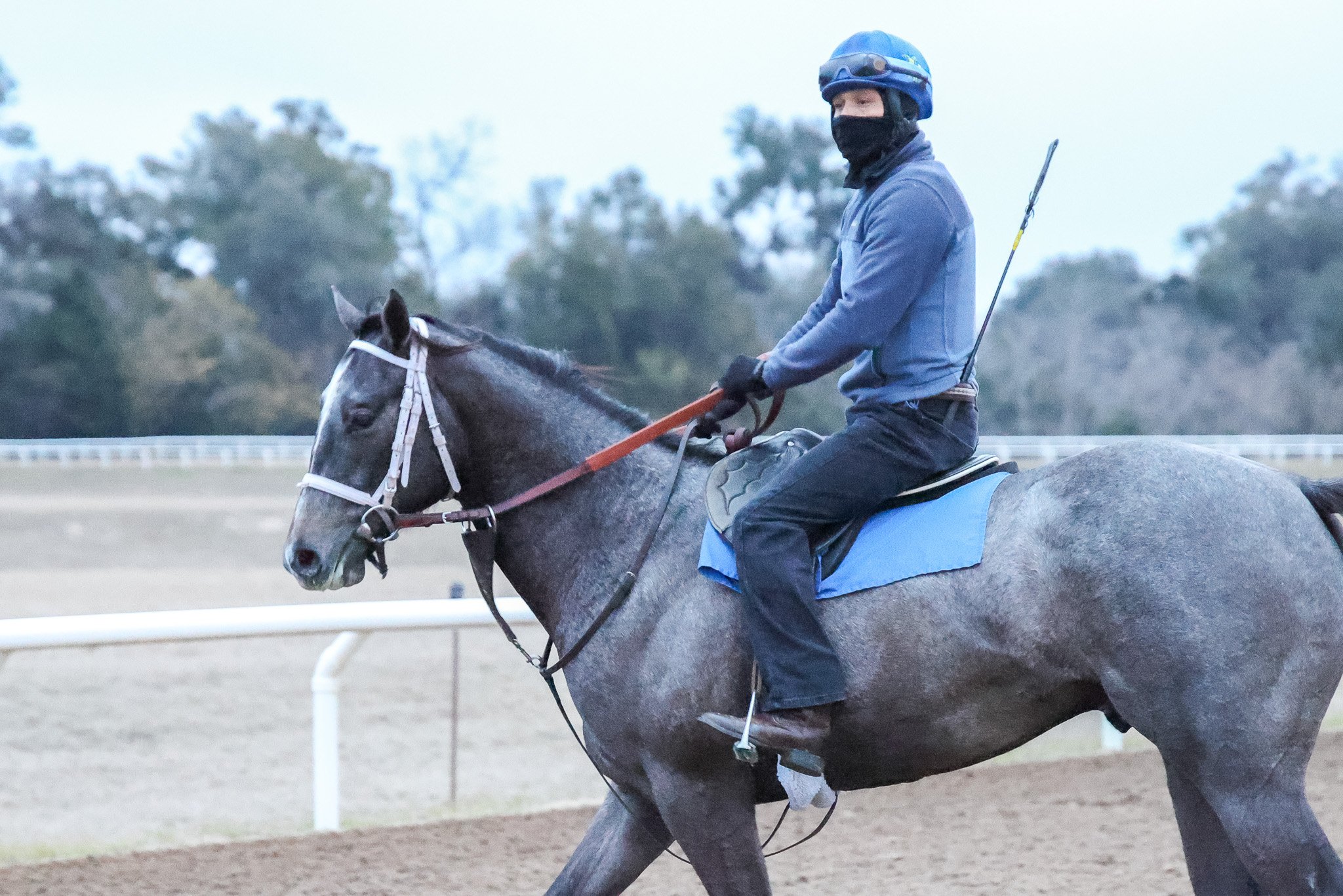  In training as early 2yo 