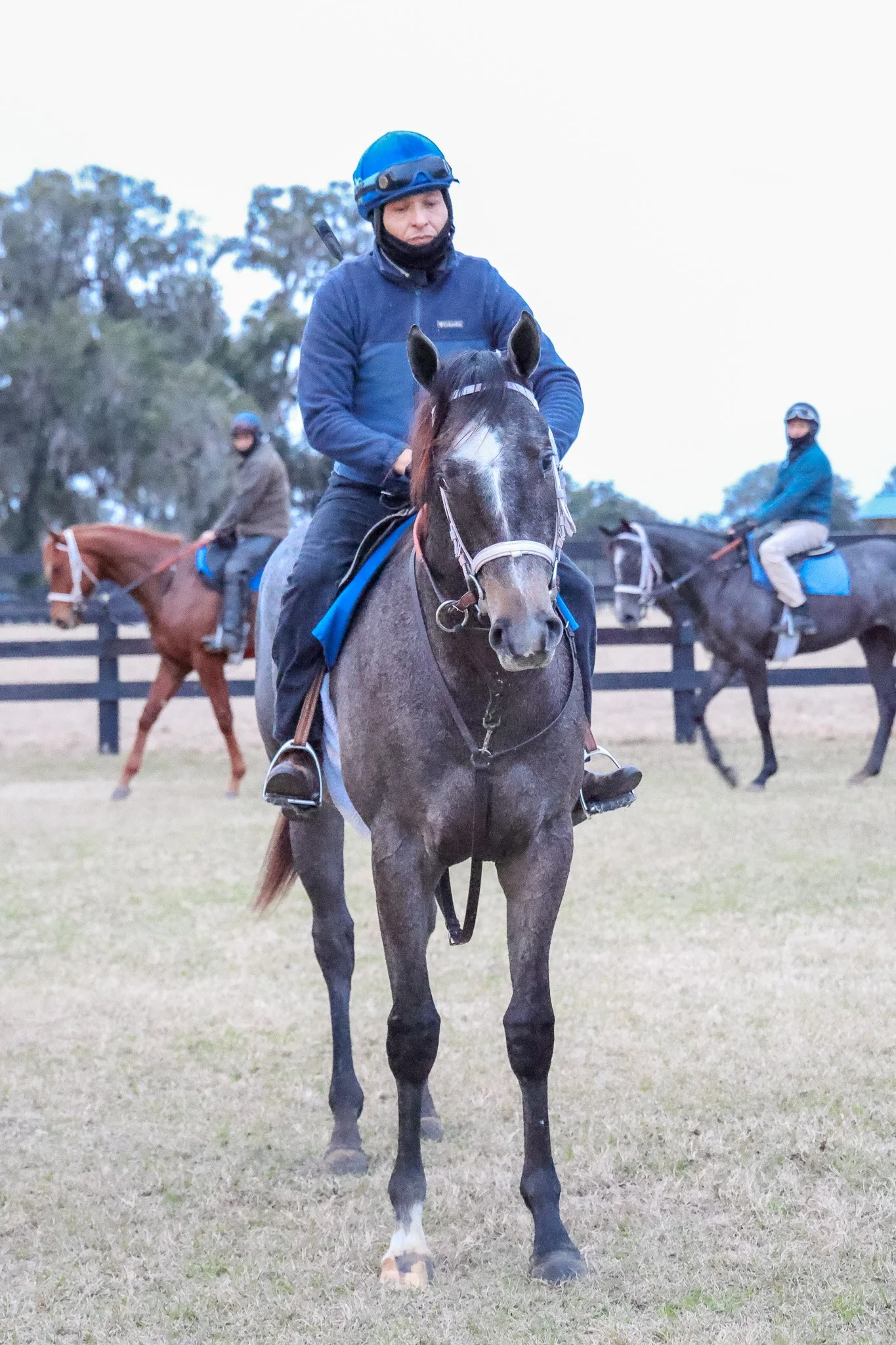  In training as early 2yo 