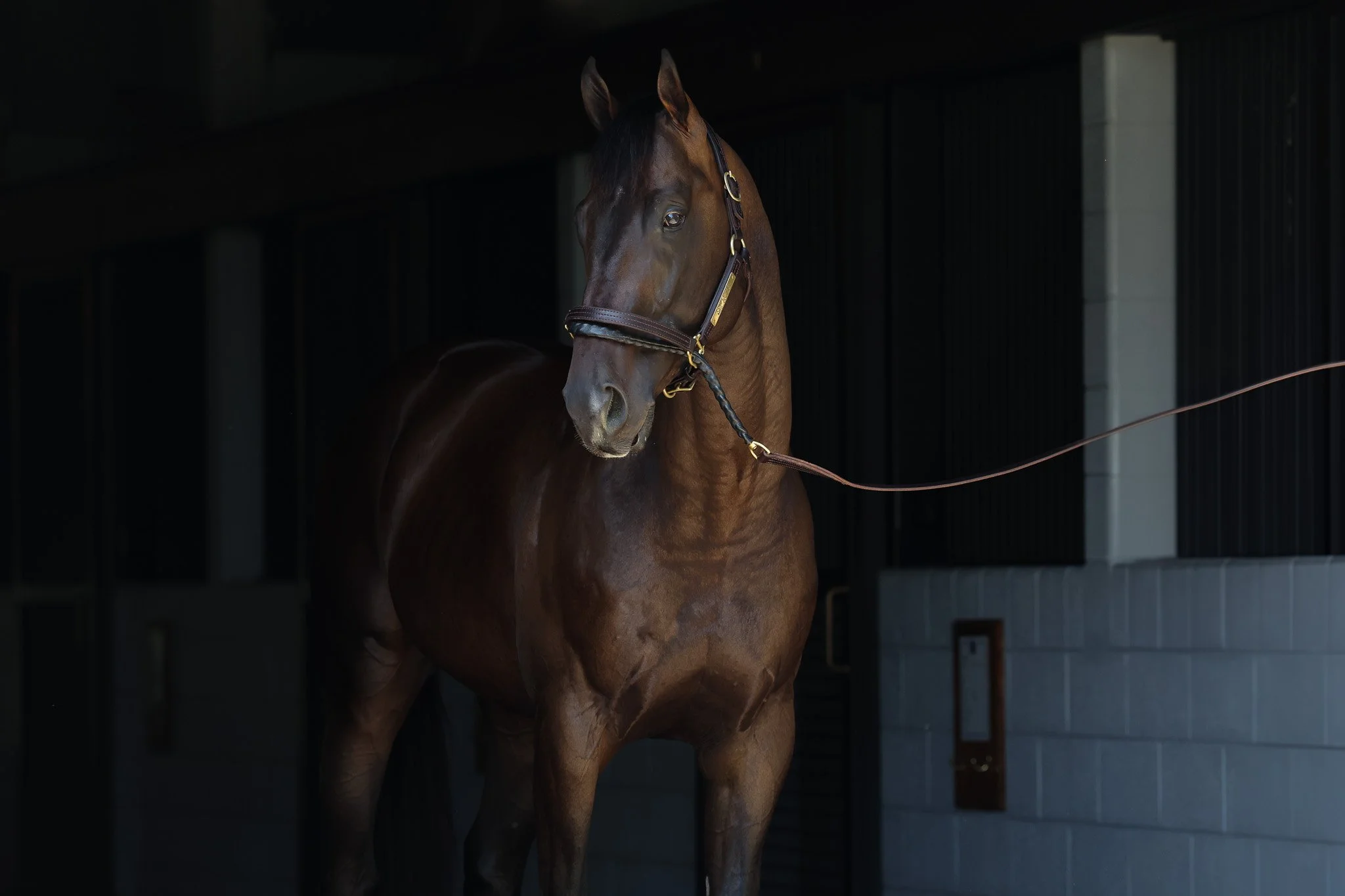 23 Mrs. Cooper HS 6.27.25.jpg