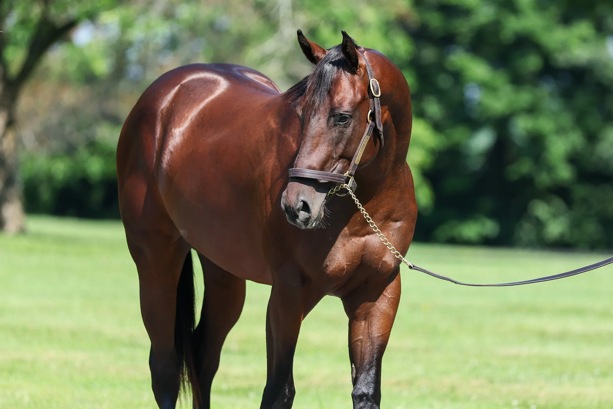 23 Nautical N HS 6.27.25..jpg