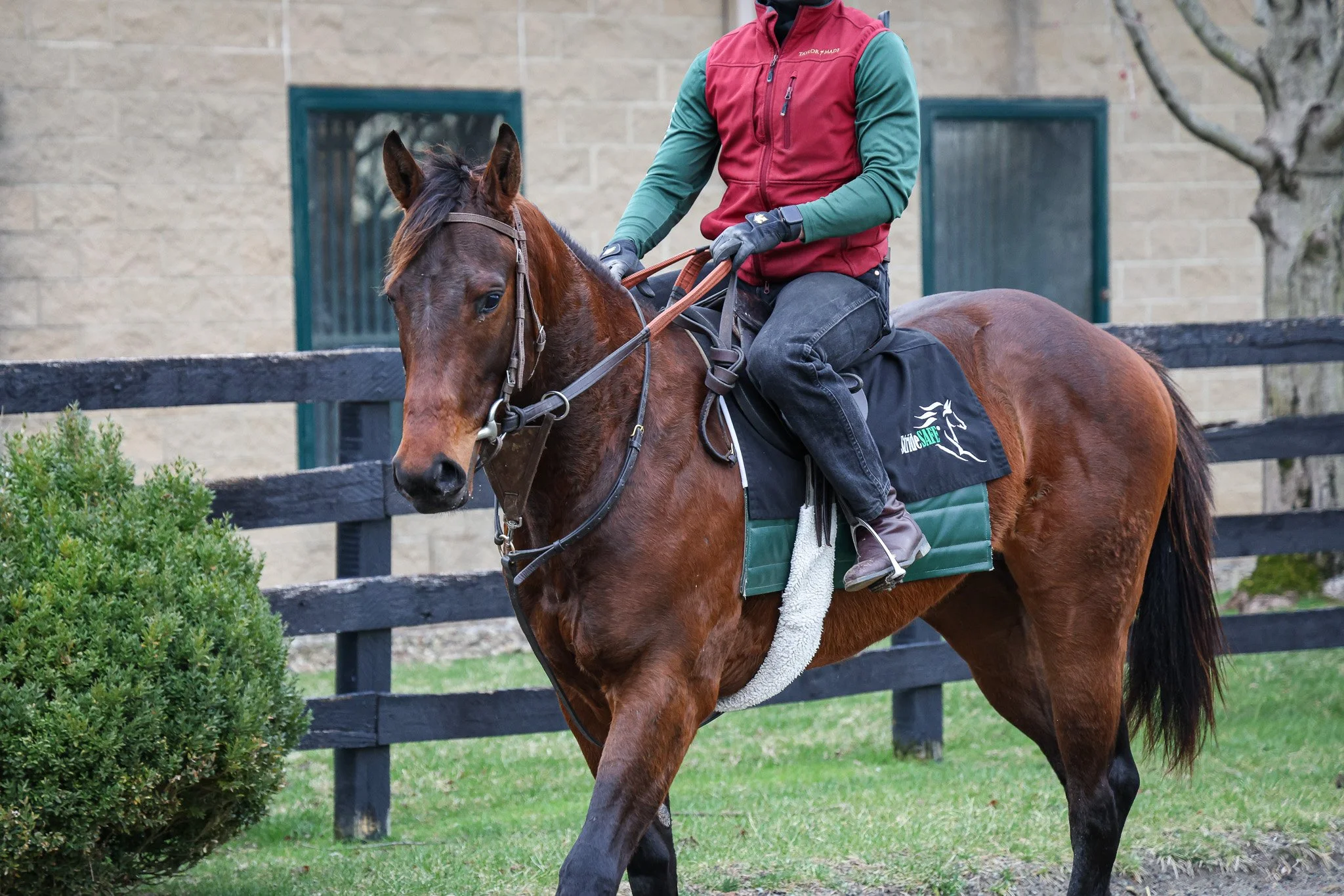 23 Nautical N TR 3.24.25 3.jpg