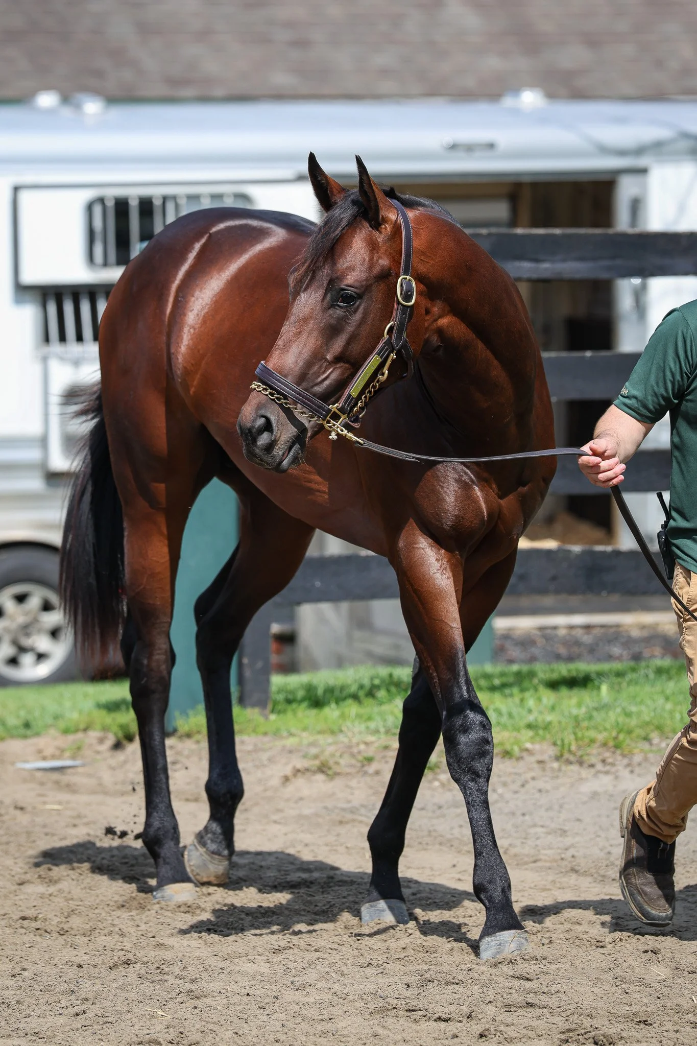 23 Nautical N Winstar 5.29.25  .jpg