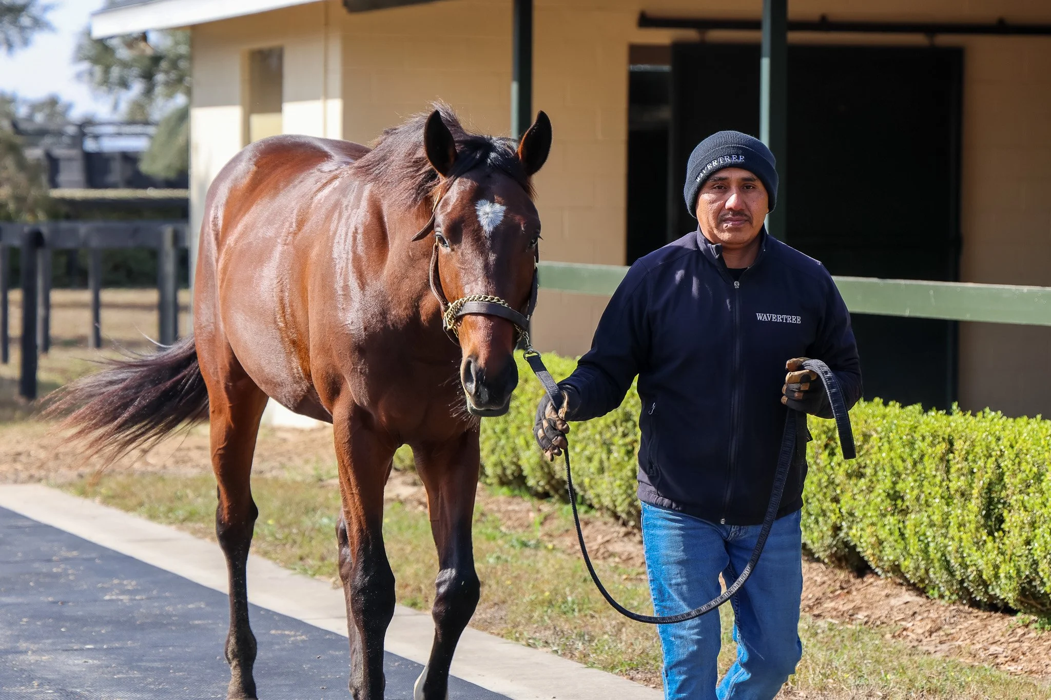 23 Popstar barn 1.21.25..jpg