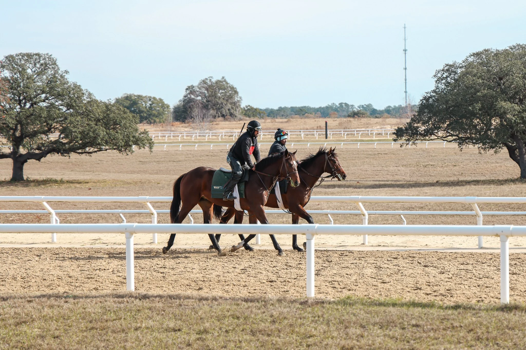 23 Popstar TR 1.21.25.  2.jpg