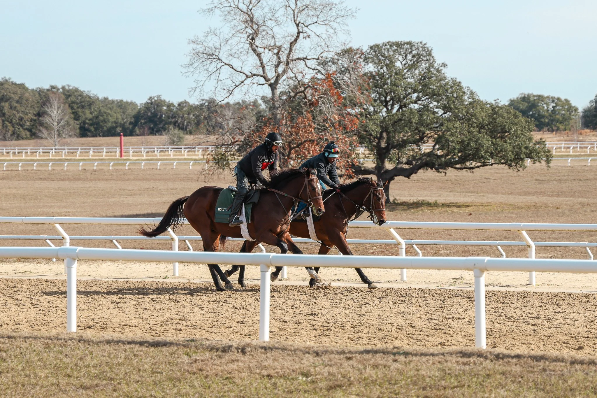 23 Popstar TR 1.21.25.  3.jpg