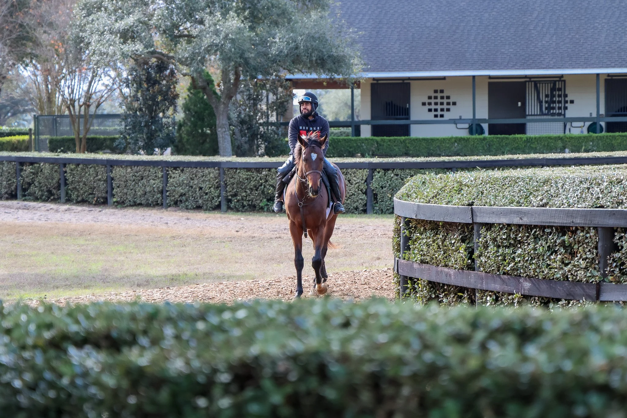 23 Popstar TR 1.21.25.jpg