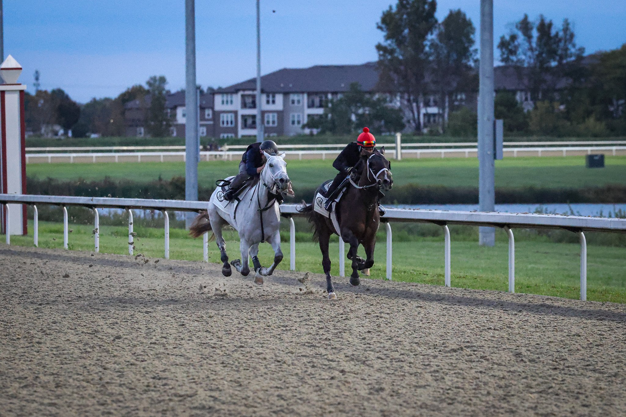 Miss Blanco TR 10.21.25  3.jpg