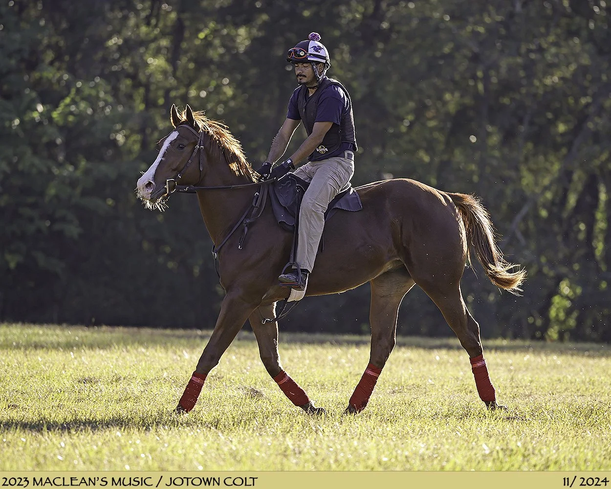  In breaking &amp; training 2024 