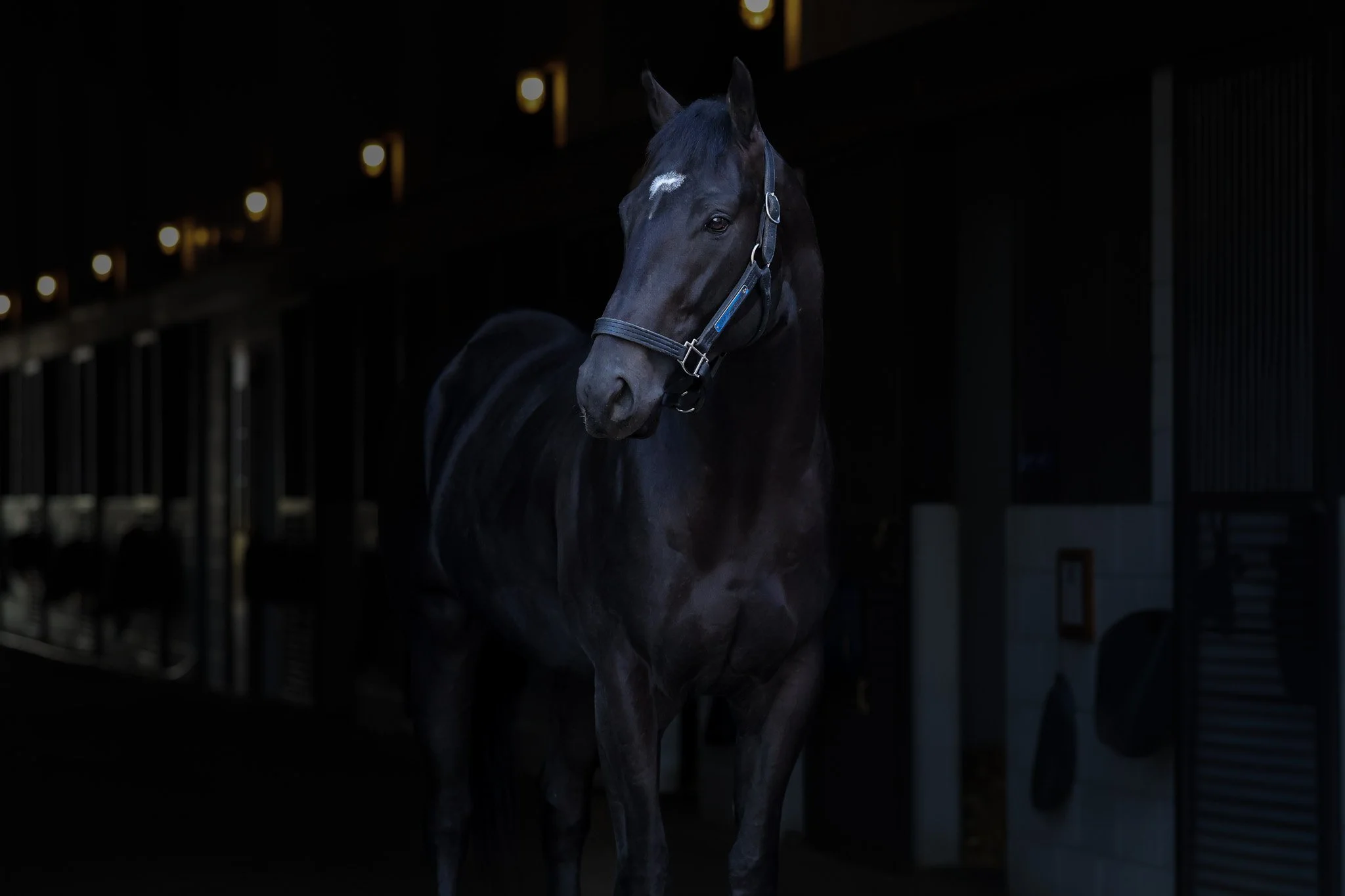 Judicial Review HS 11.14.25.jpg