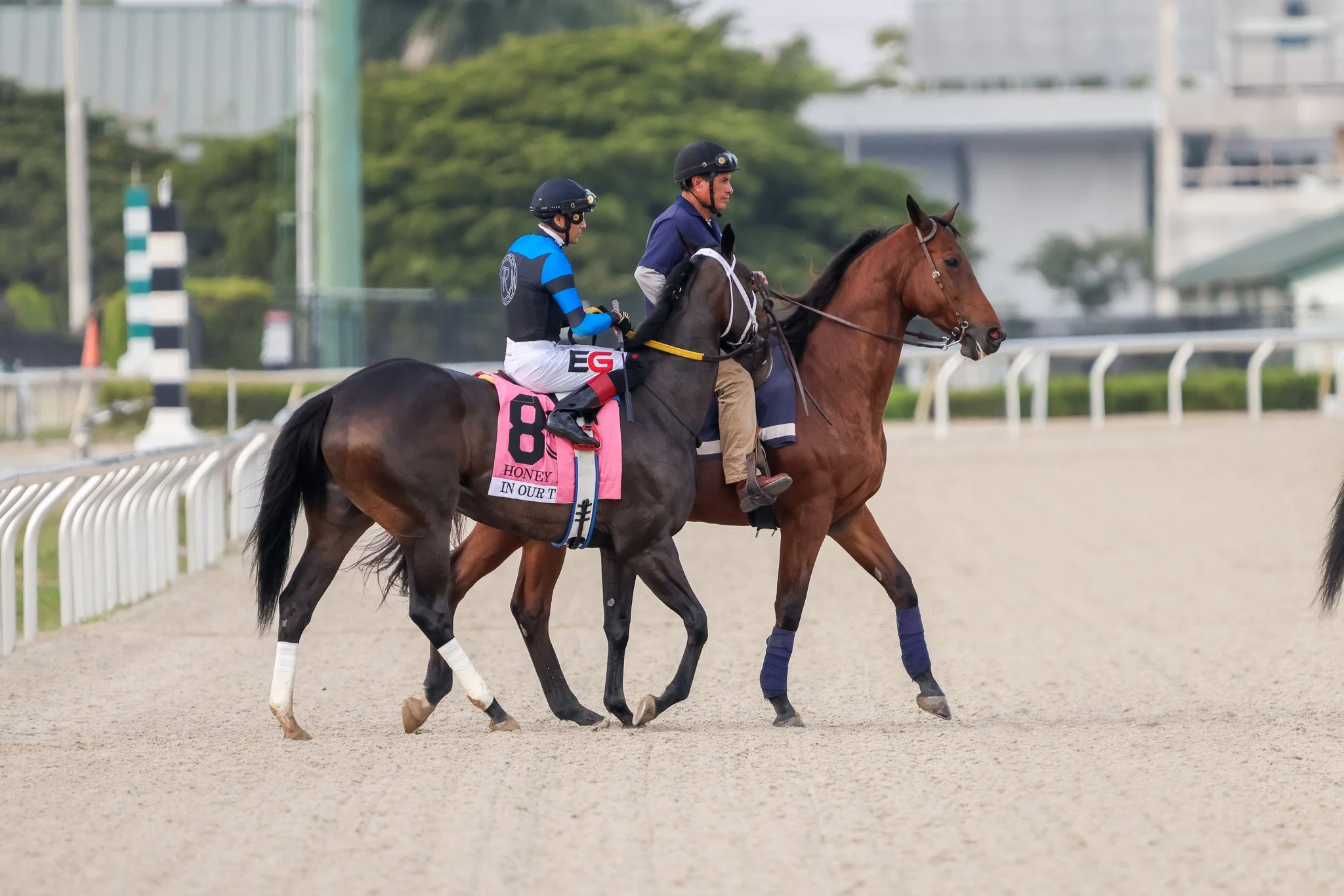  Gulfstream Park 2025 