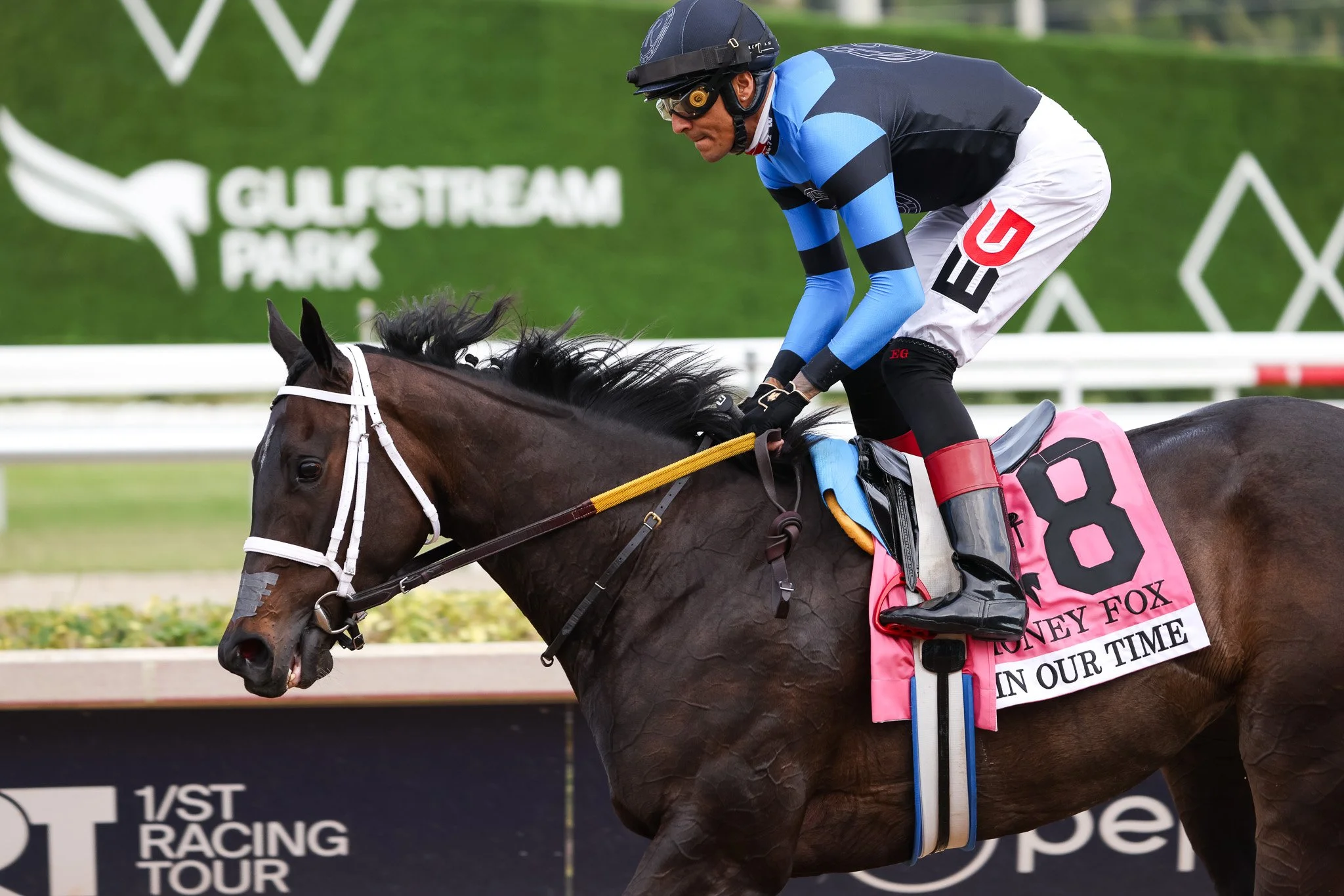  Gulfstream Park 2025 