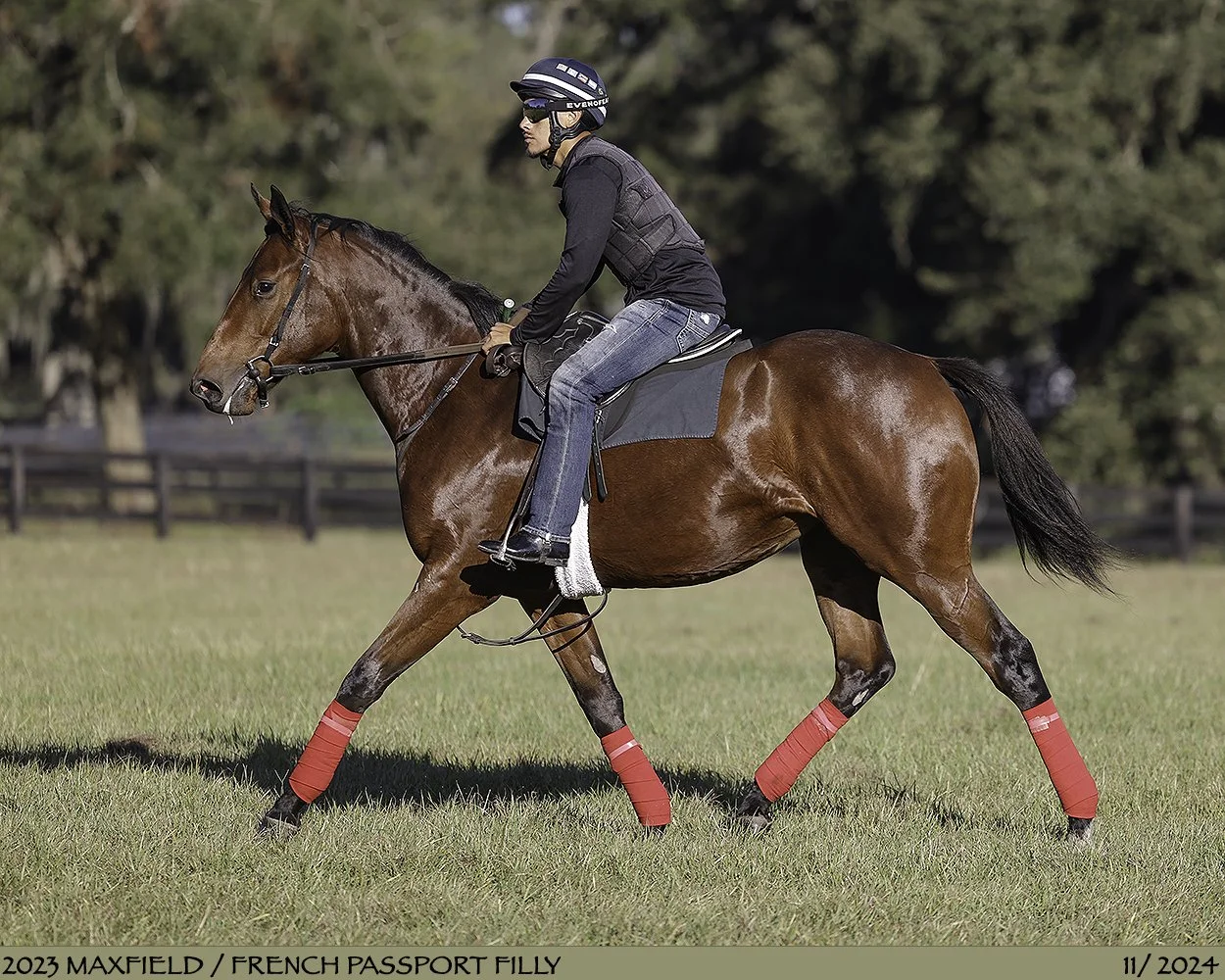  In breaking &amp; training 2024 