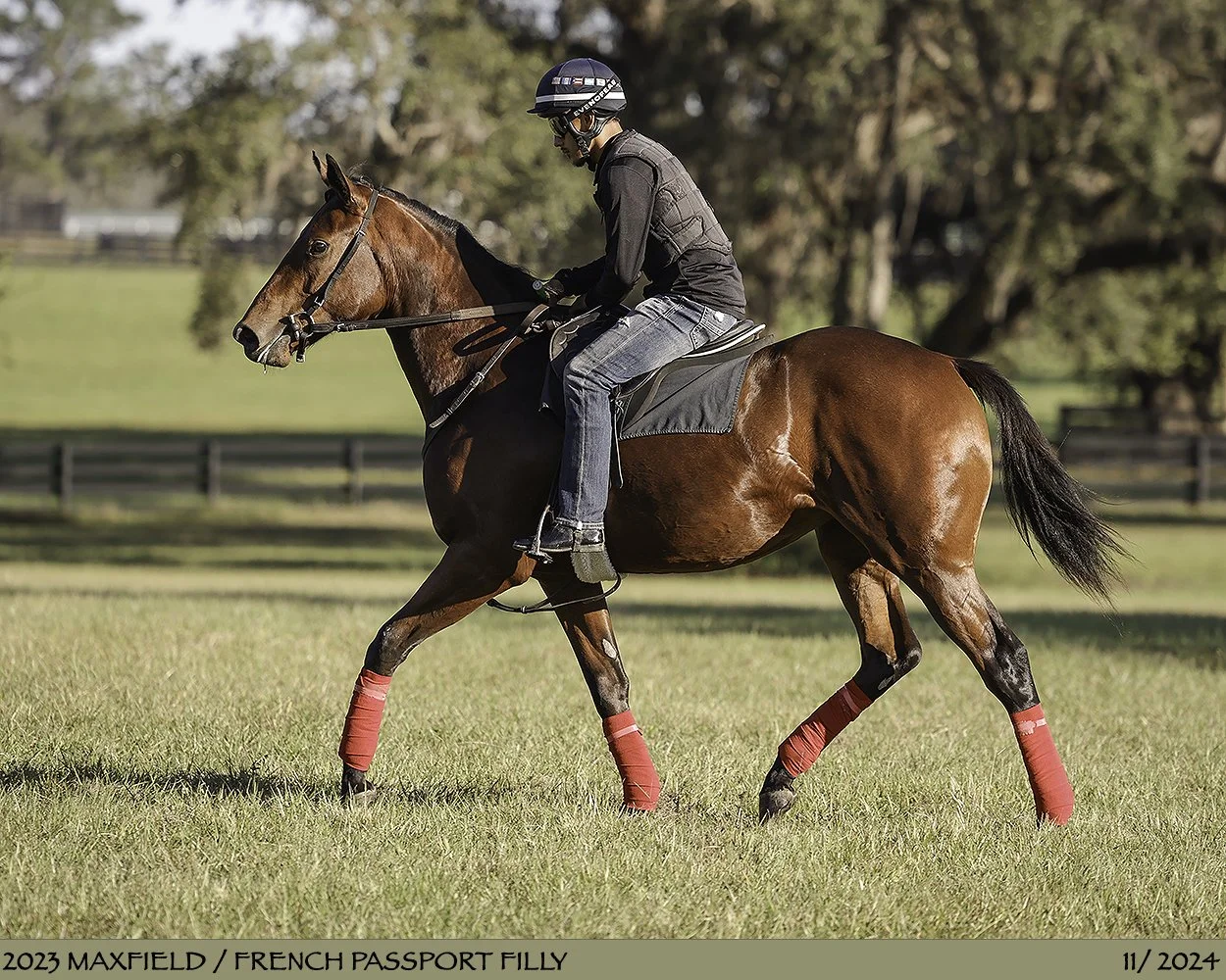  In breaking &amp; training 2024 