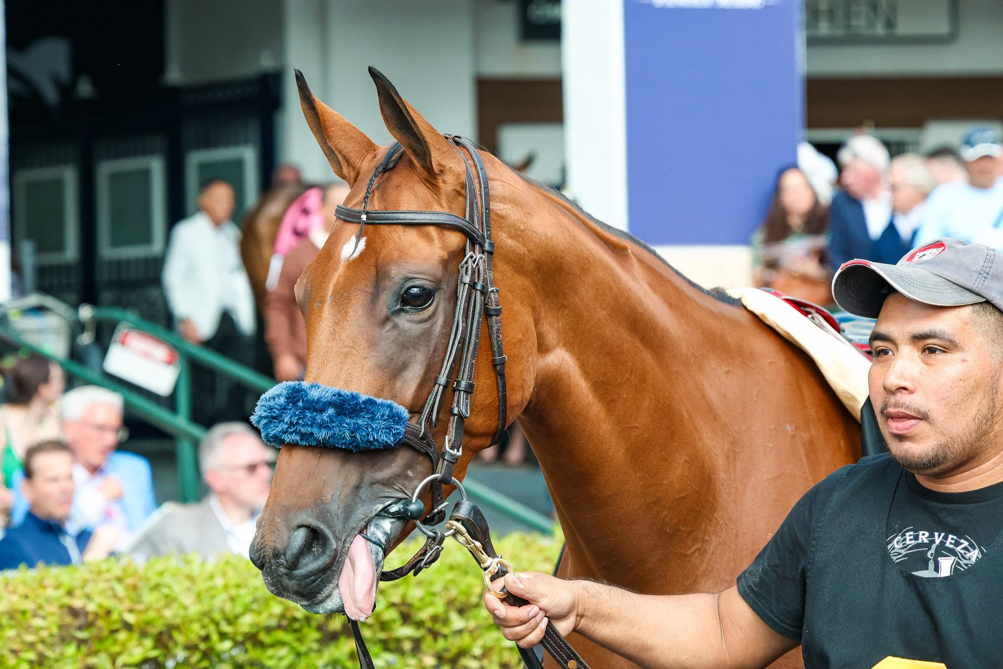  Gulfstream Park 2025 