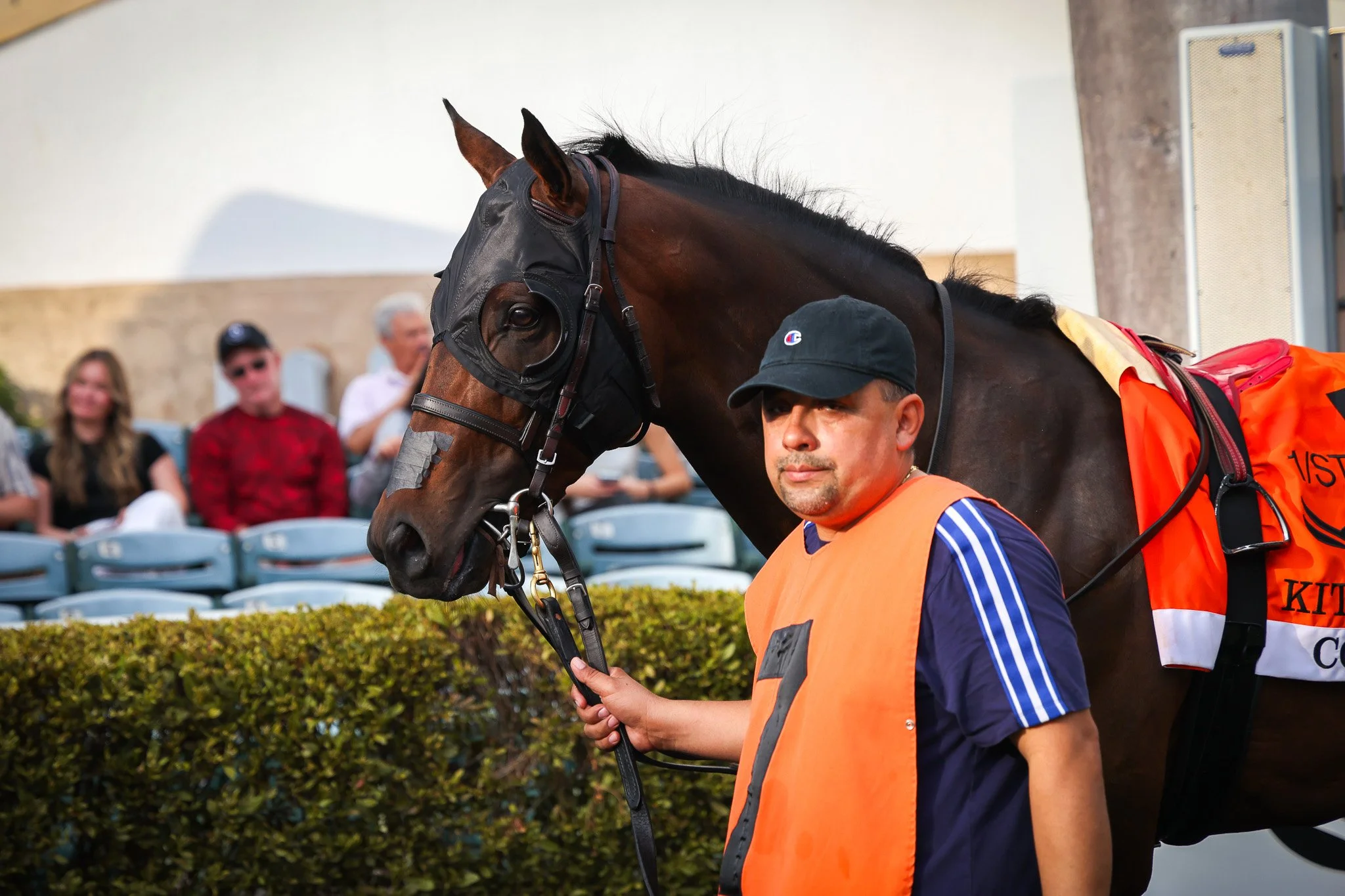  Feb 2025 Gulfstream Park 