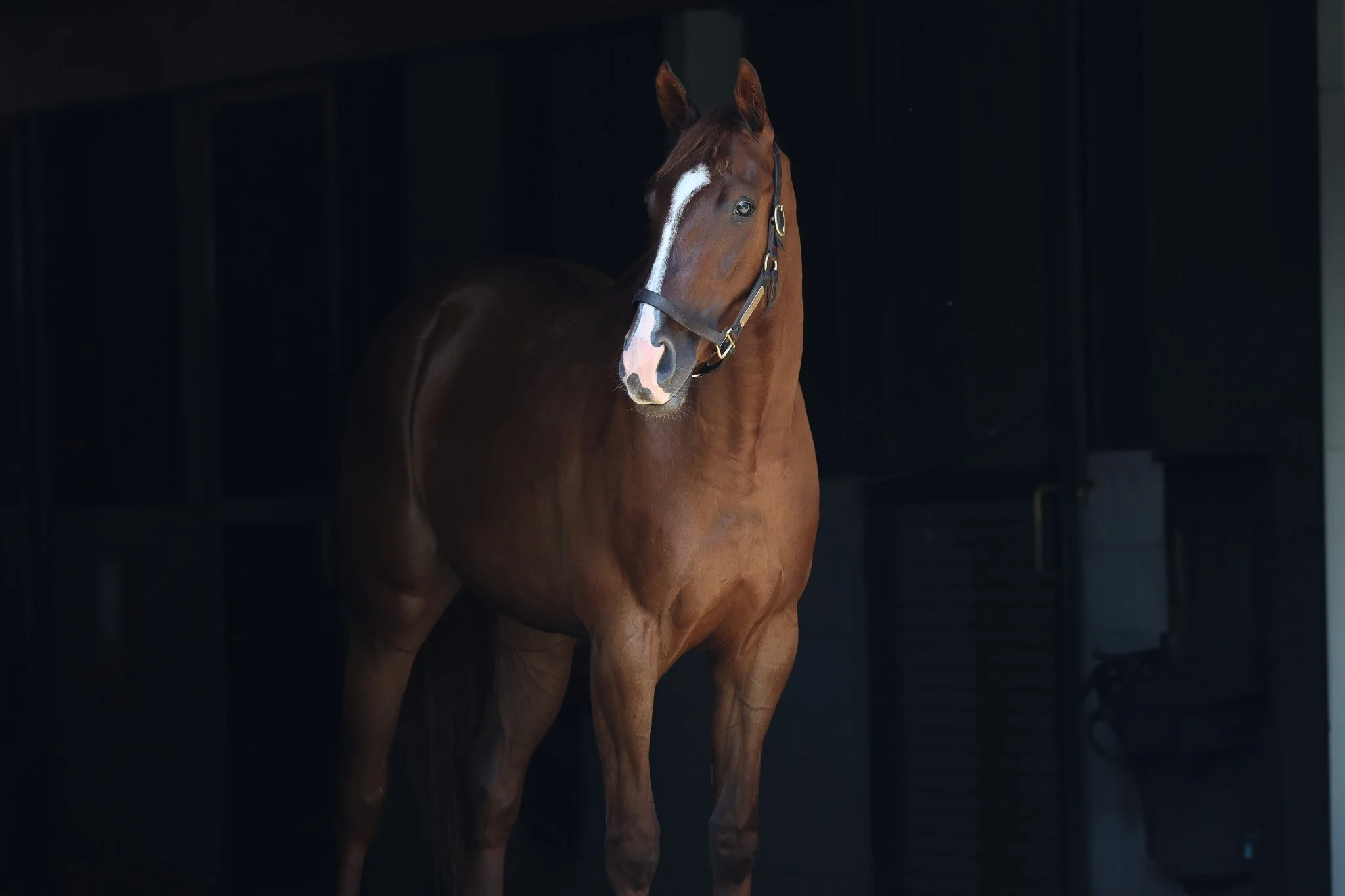 23 Sis City HS 6.27.25  .jpg