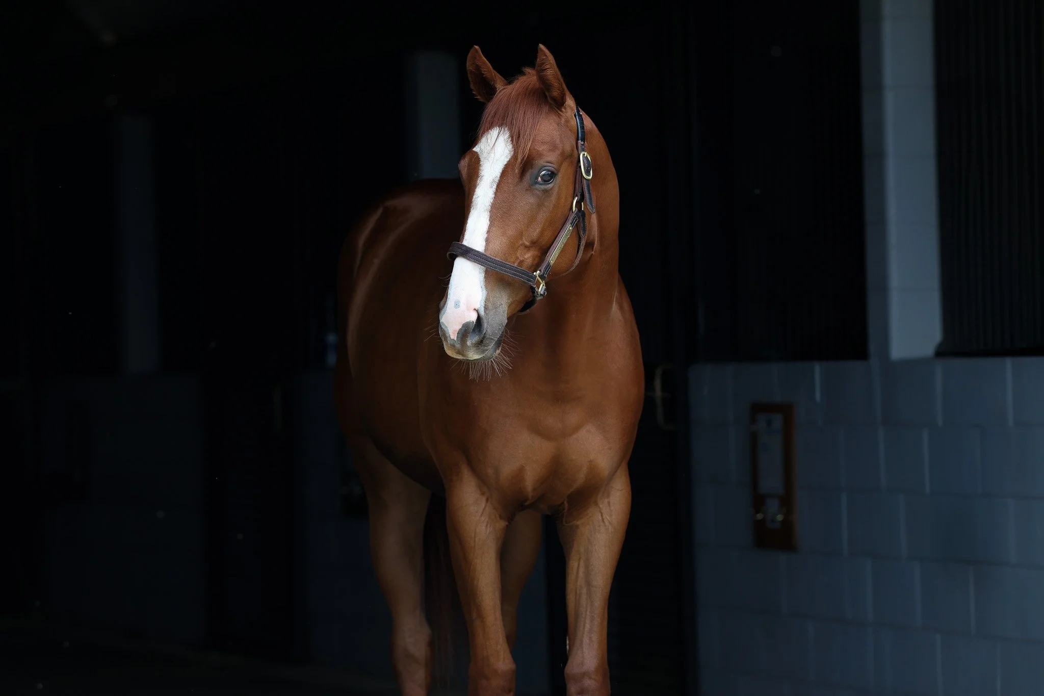 23 Ghoul's Night Out HS 5.7.25.jpg