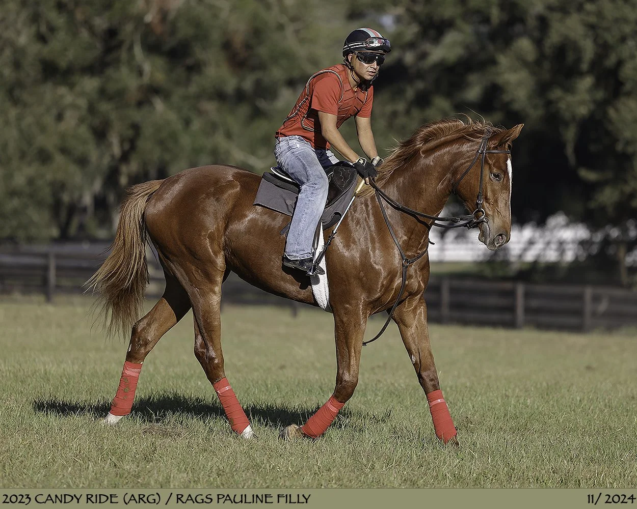  In breaking &amp; training 2024 