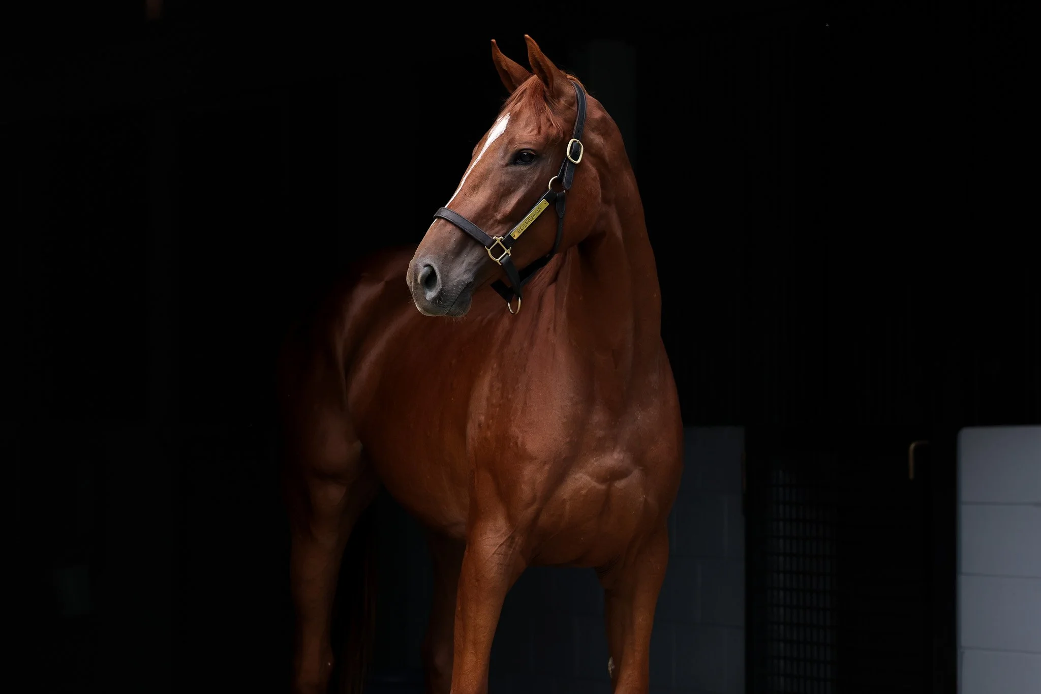 Bourbiana HS 7.31.25.jpg