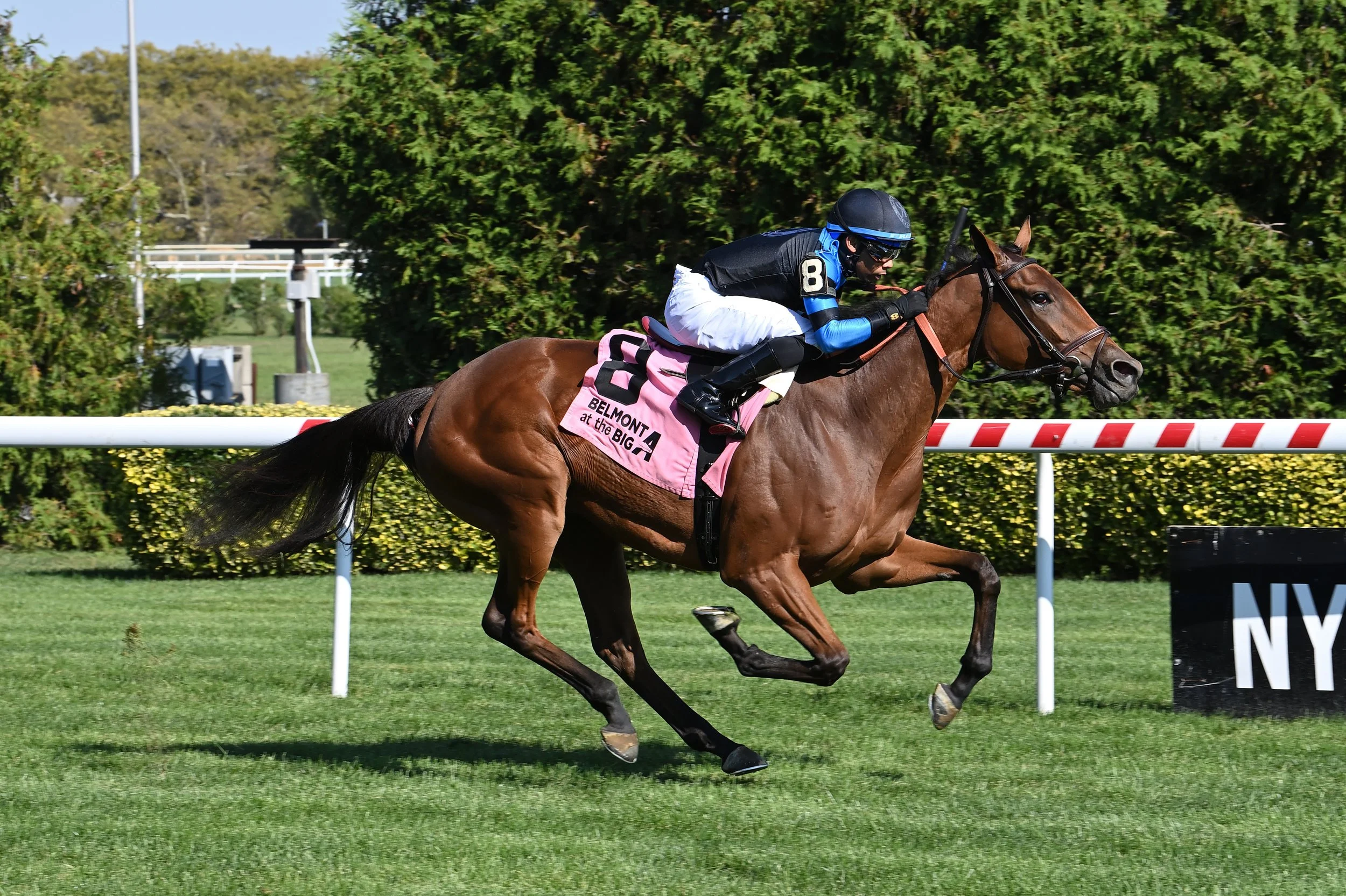  MSW win   Coglianese Photo 