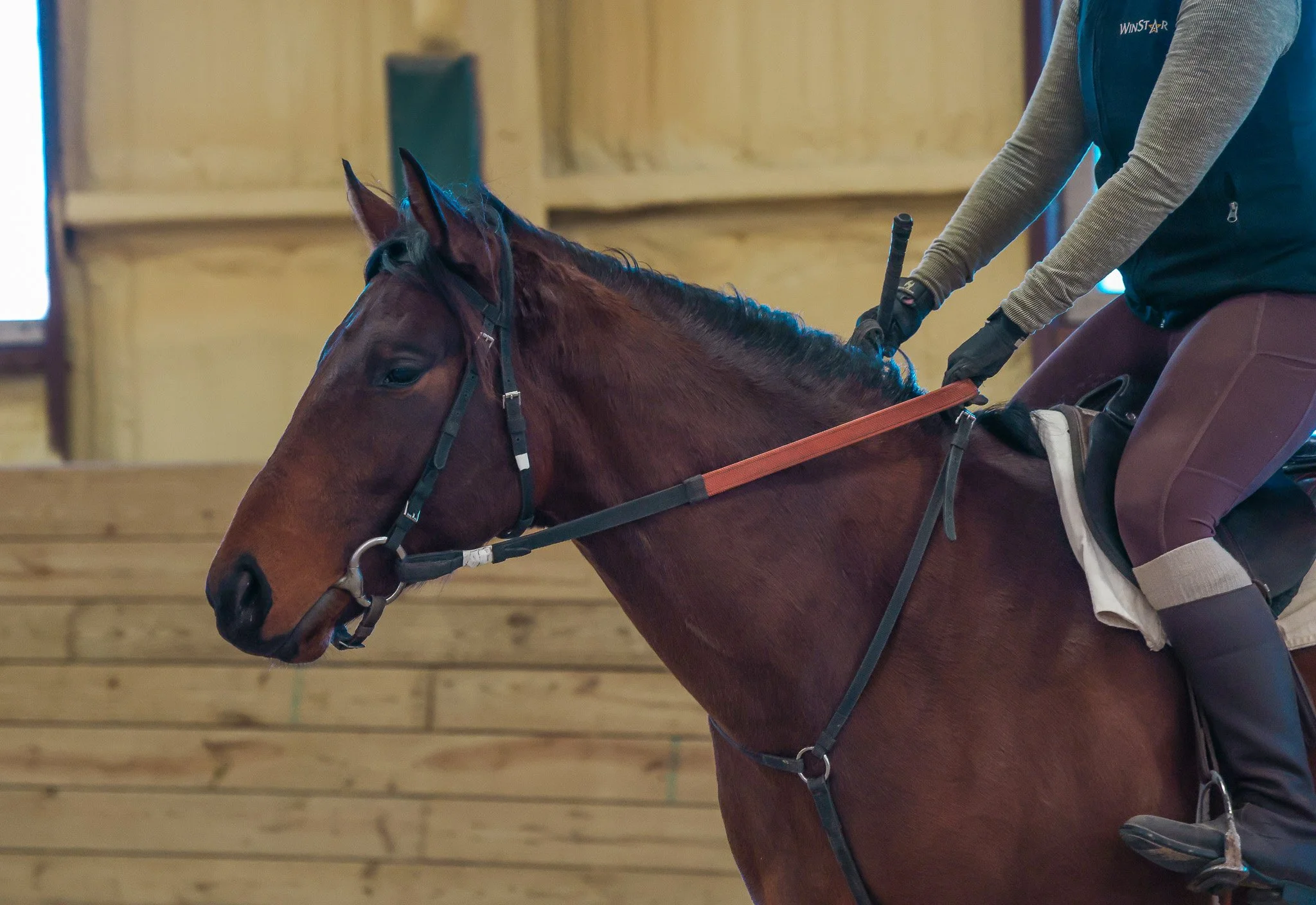  In breaking &amp; training  