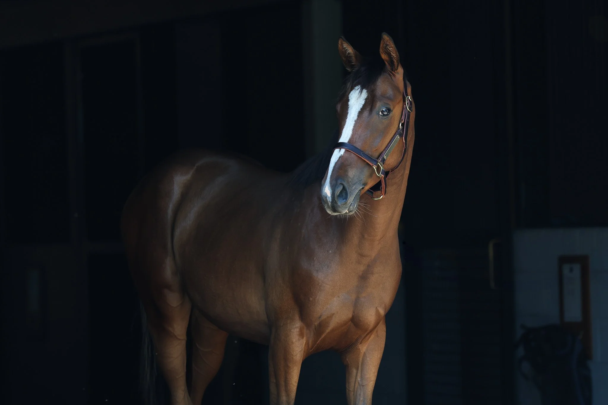 24 Tabera HS 6.27.25.jpg