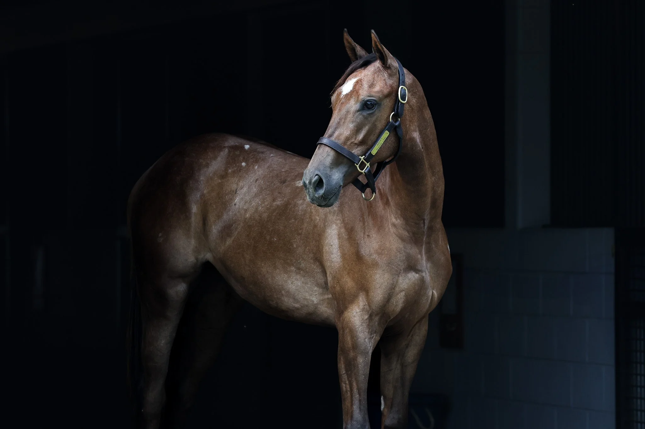 24 Sebago Lake HS 7.31.25.jpg