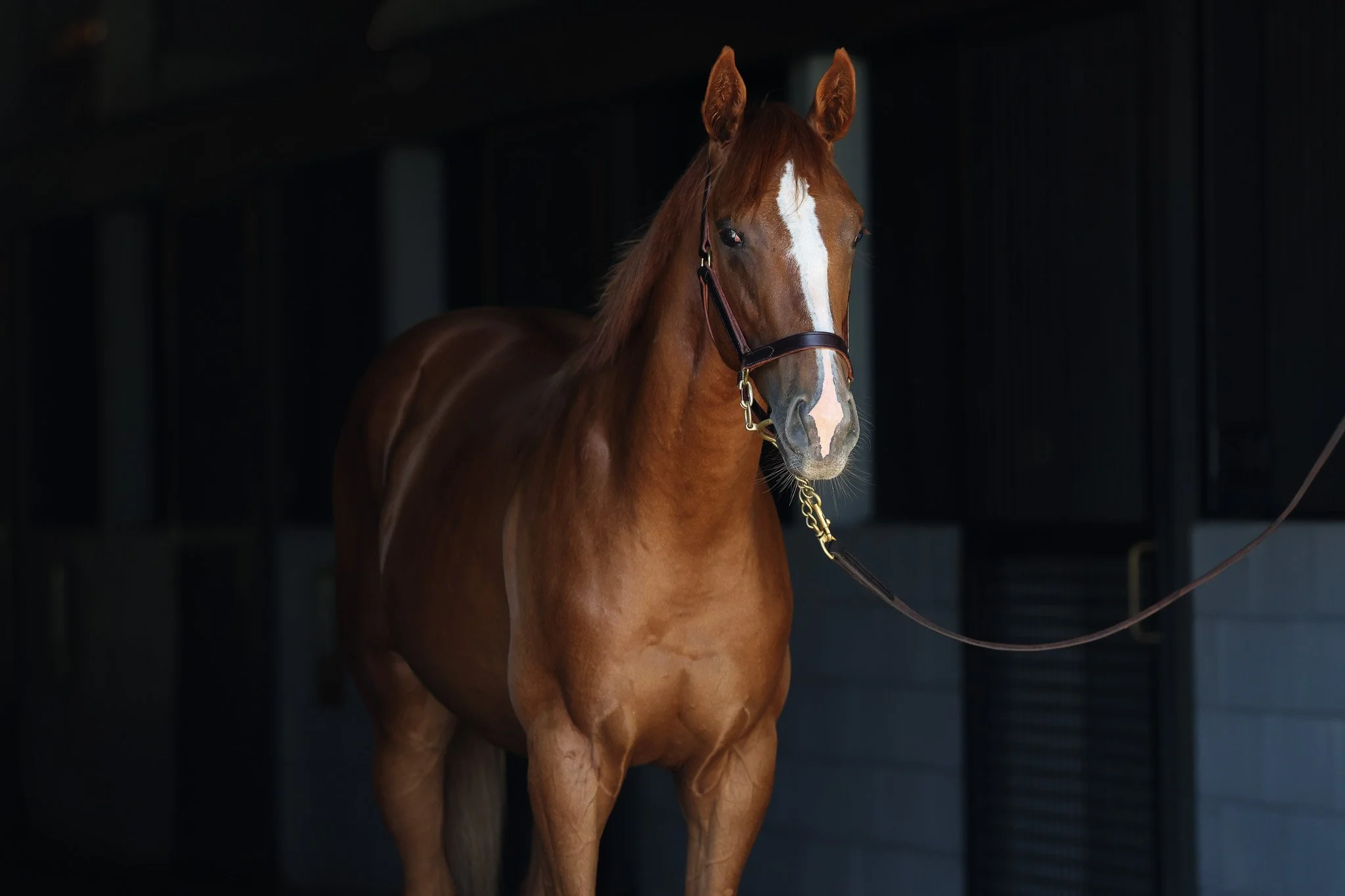 24 Puca HS 6.27.25.jpg